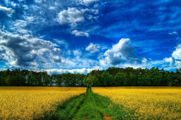 Die Natur der ländlichen Landschaften wird nicht vergessen