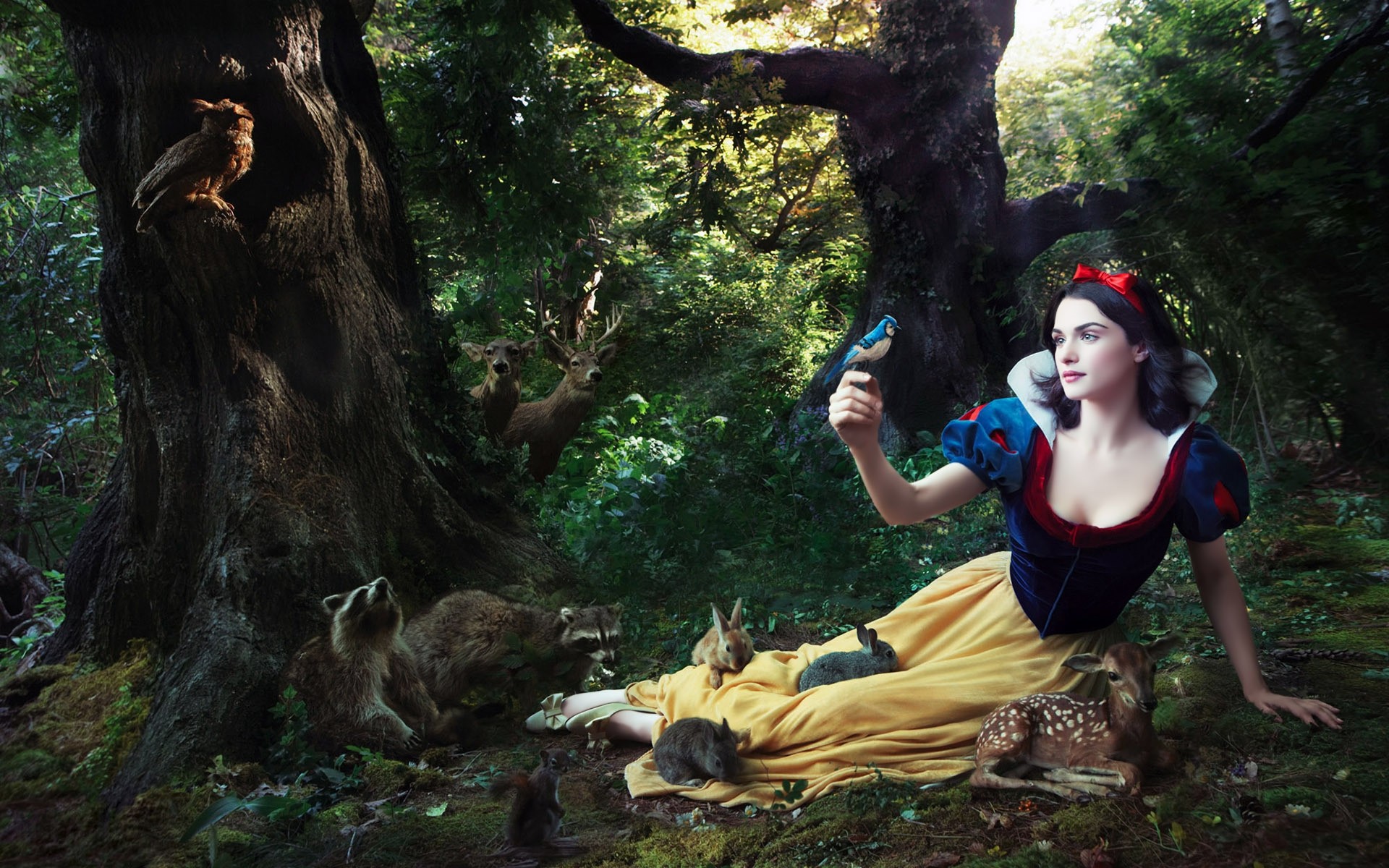 holz holz ein frau im freien erwachsener zwei tageslicht freizeit park regenwald natur mädchen umwelt rachel weisz schauspielerin prominente mode-modelle