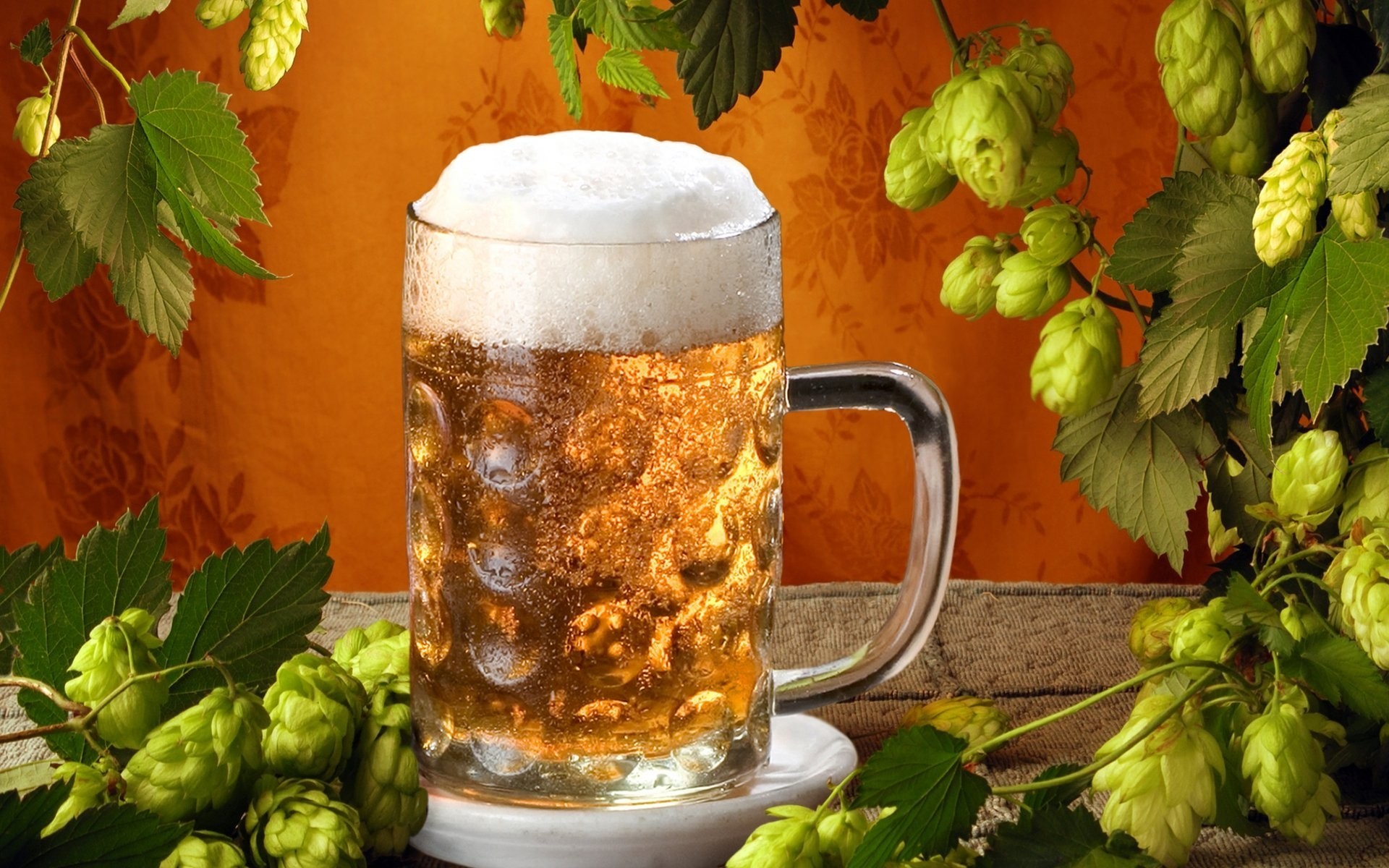 bier brauerei glas trinken blatt alkohol pub essen hop mondschein
