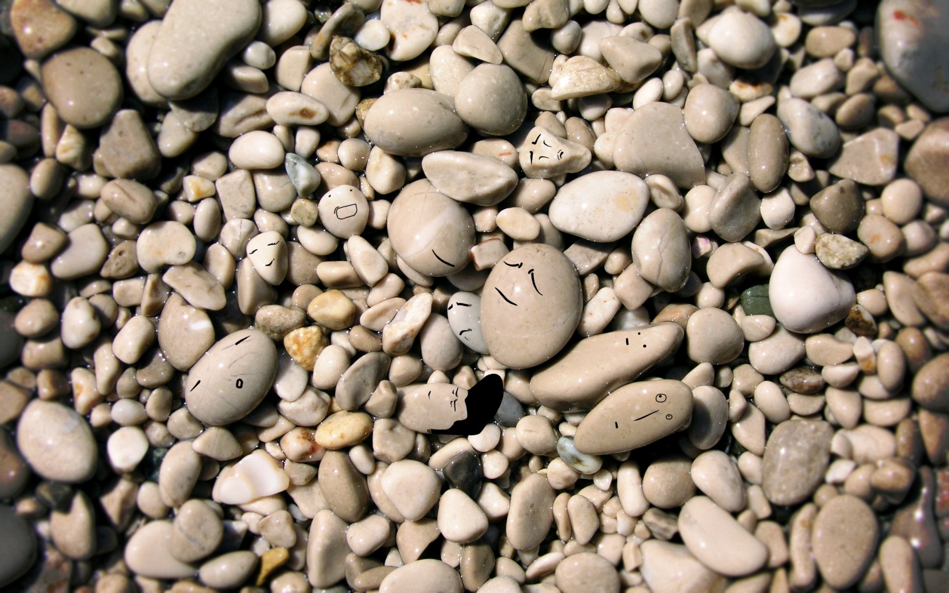 textur bohnen rock desktop party schließen stein spund viele trocken kies samen glatt flocken kaffee abstrakt kopfsteinpflaster essen ernte zen steine steine
