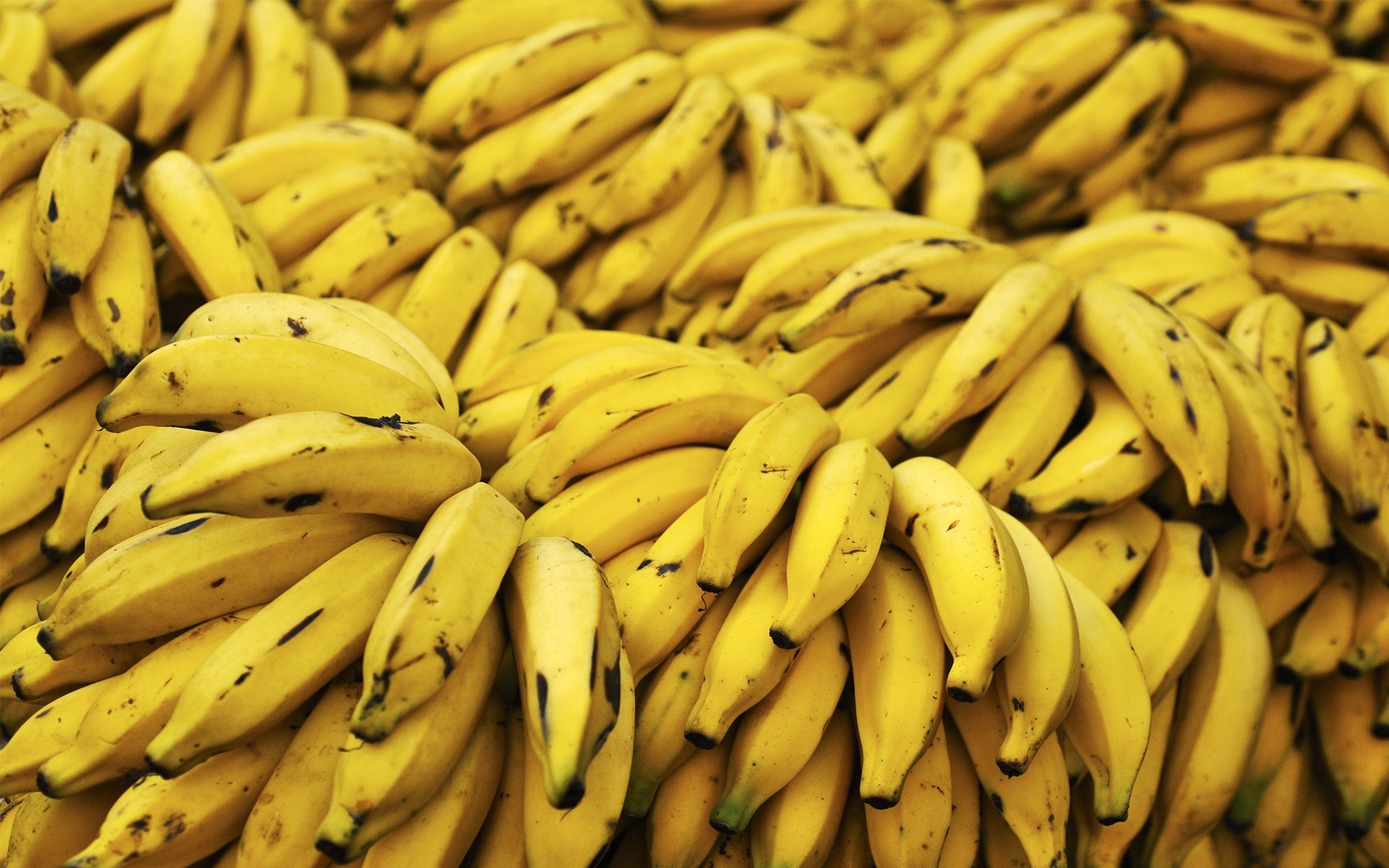 banane essen obst wachsen essen haufen markt gesundheit gruppe landwirtschaft viele fülle gemüse