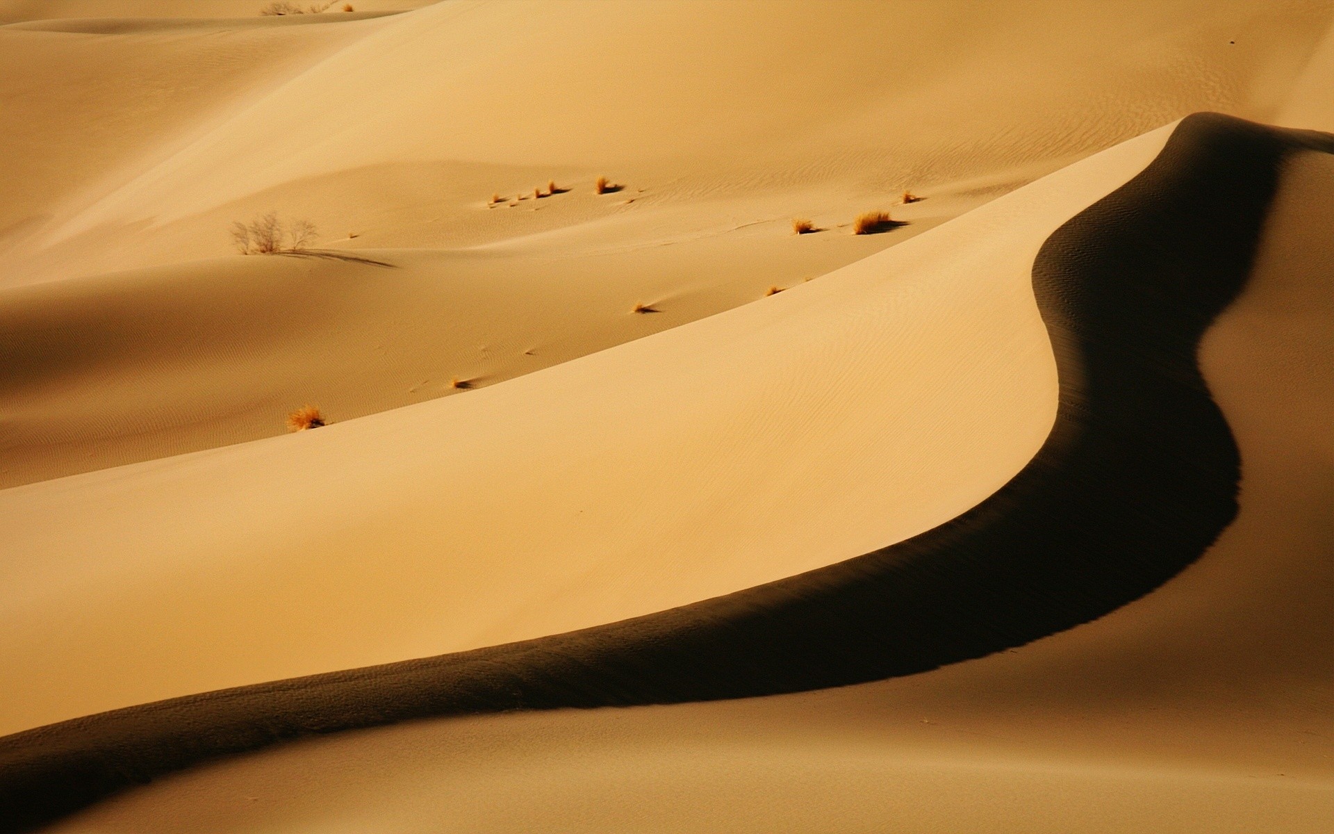 wüste landschaft strand sand reisen schatten unschärfe düne abstrakt sonnenuntergang dessert hintergrund natur