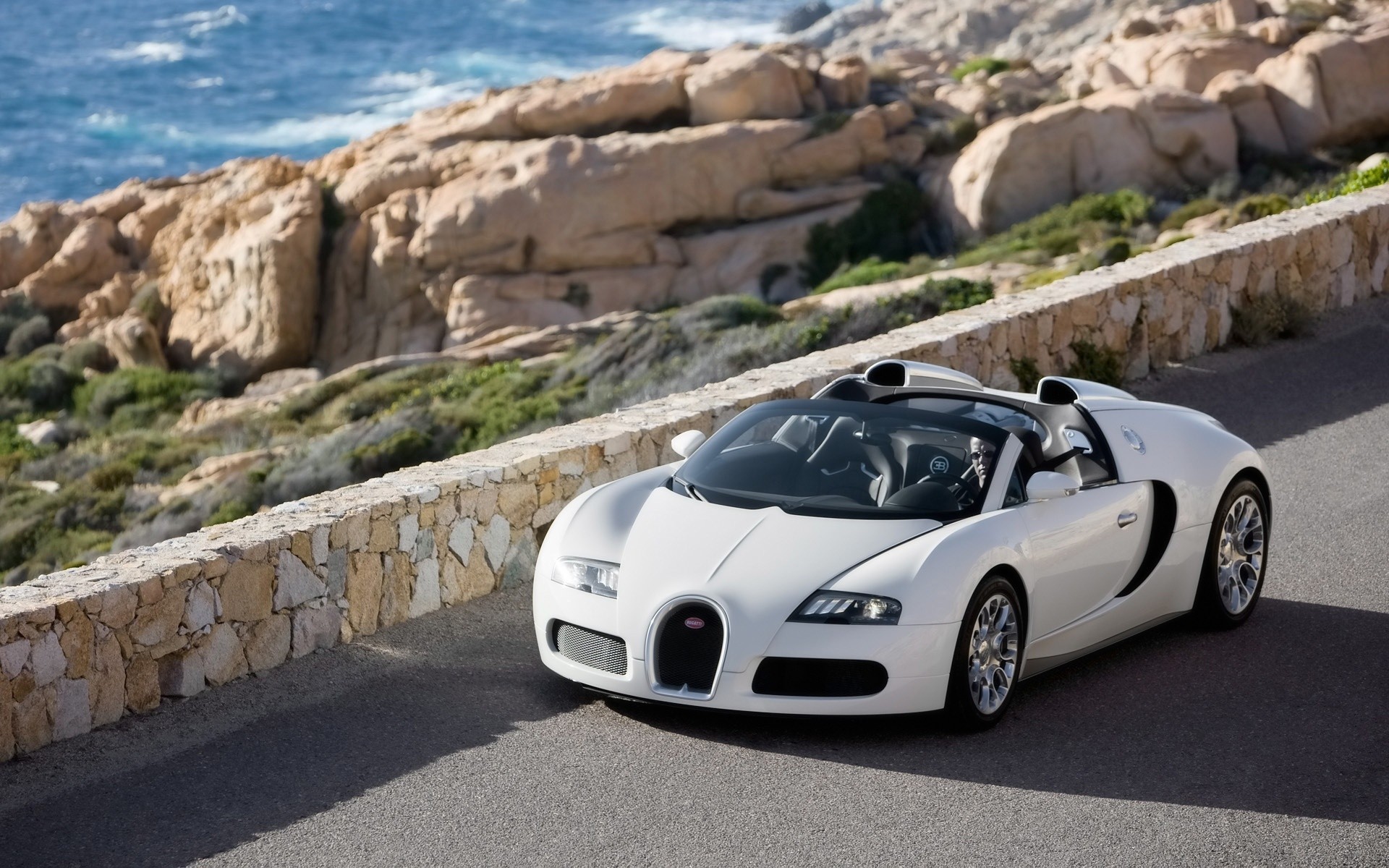 bugatti auto auto transportsystem beeilen sie sich bugatti veyron bugatti veyron weiß