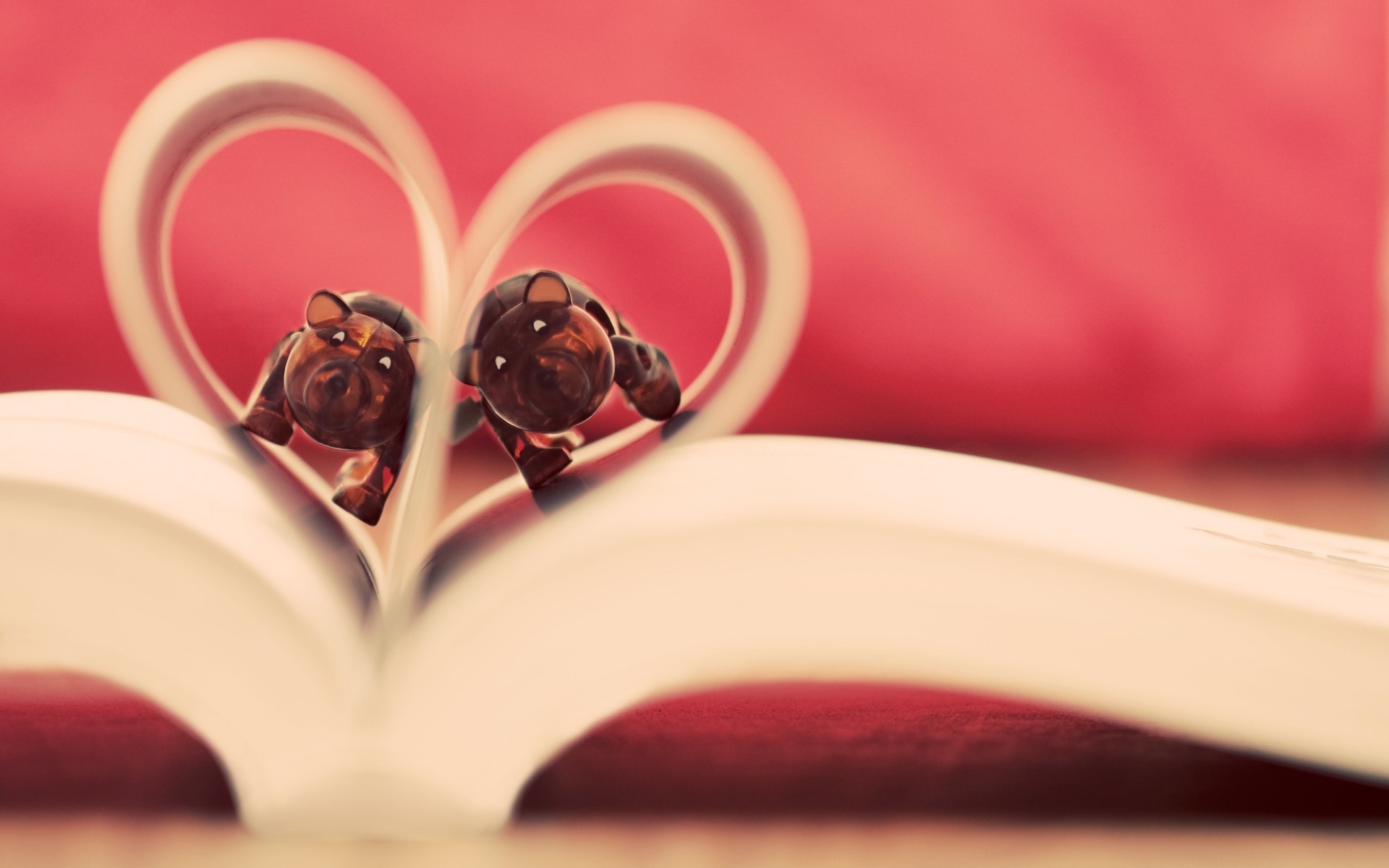 liebe hochzeit blume romantik rose stillleben trinken herz