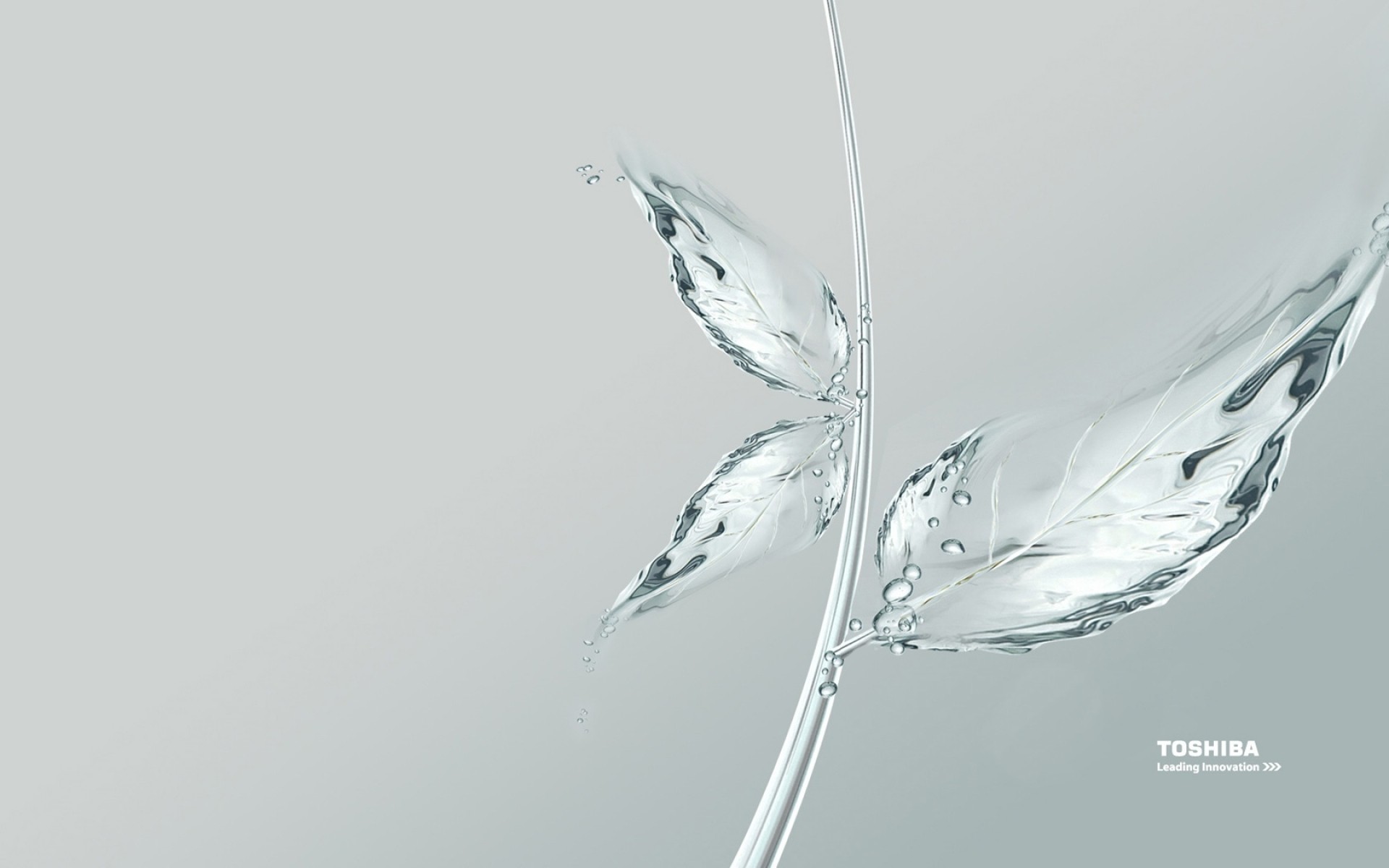 toshiba bewegung tropfen sauberkeit natur wasser nass welle blase