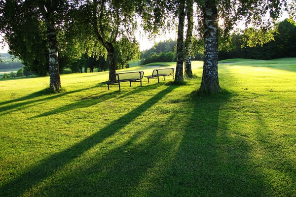 Birkenhain. sommerpark mit Bänken
