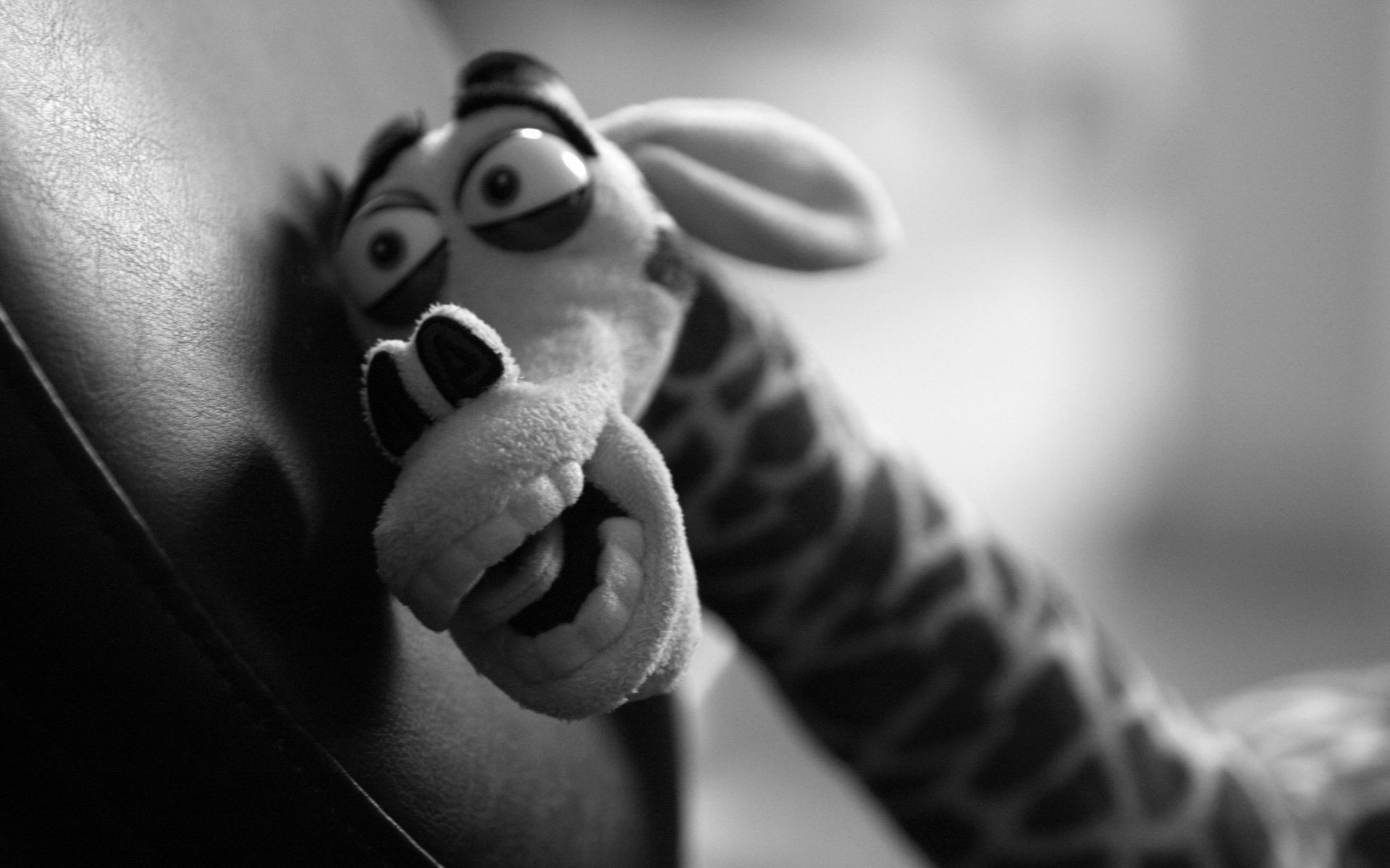 monochrom mann porträt erwachsener ein mädchen schwarz / weiß frau beine dof nackt hände