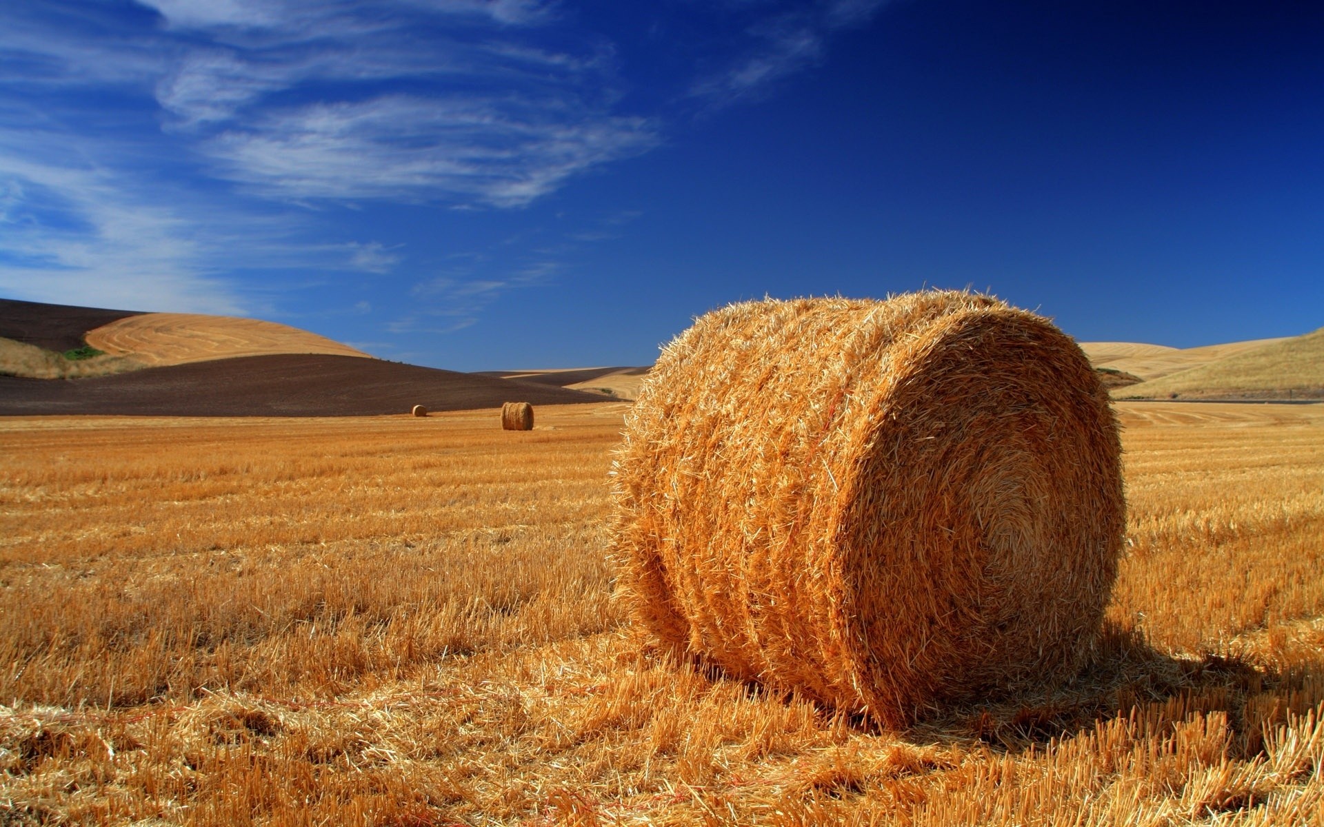 landschaft weizen heu stroh des ländlichen weide himmel landschaft landwirtschaft landschaft trocken flocken im freien roggen natur bauernhof feld mais ernte bebautes land landschaft sommer