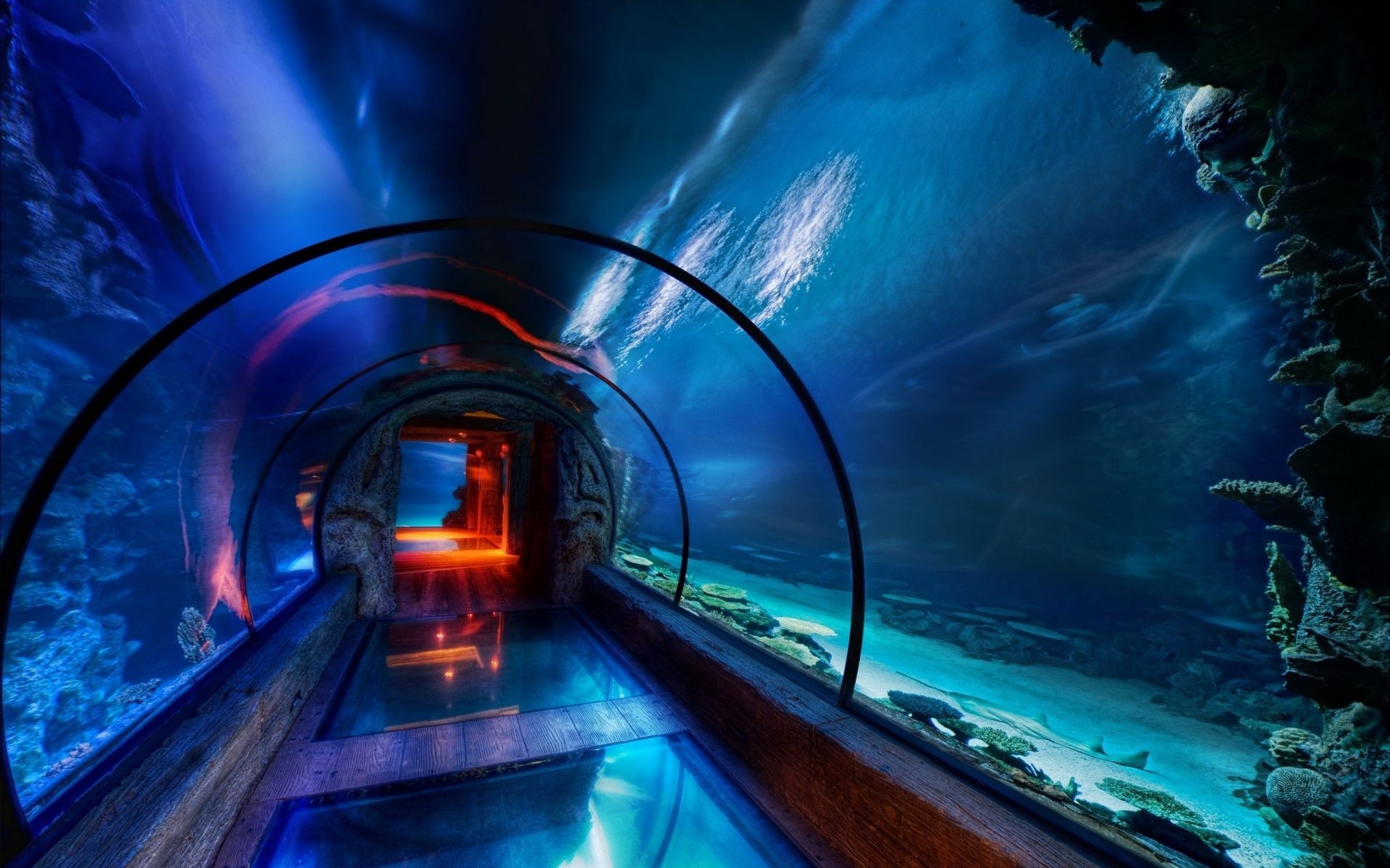 tunnel licht unschärfe reisen transportsystem verkehr am abend stau