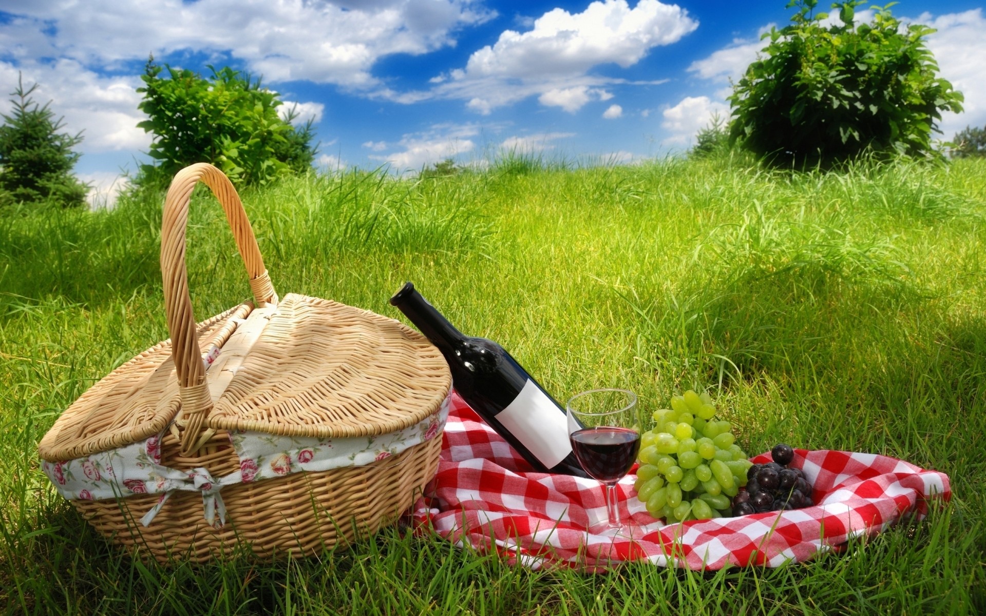 korb gras wicker sommer picknick natur essen weide garten feld heuhaufen rasen entspannung im freien weine trauben