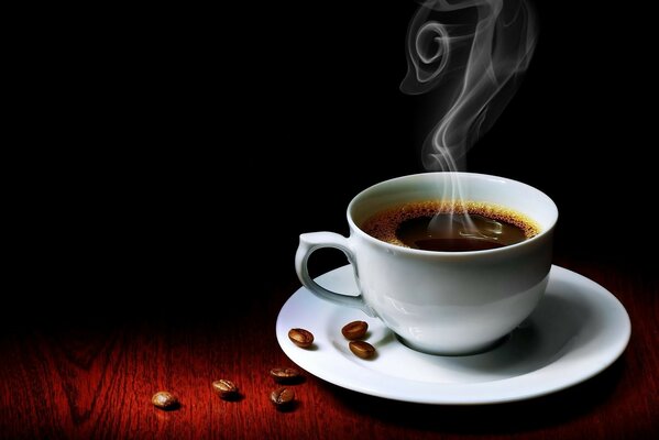 Checker von aromatischem und garchstigem Kaffee