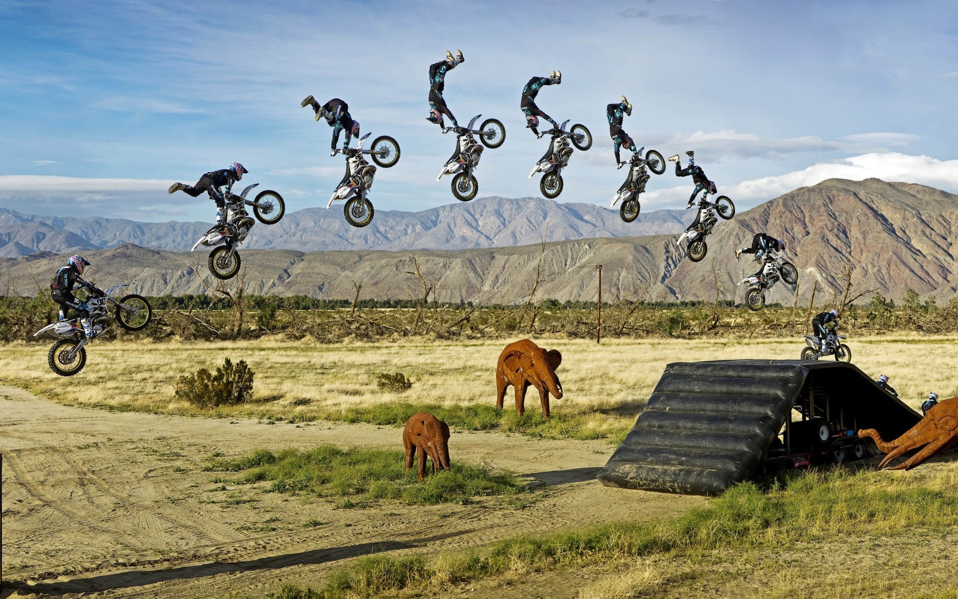 sport gras natur landschaft im freien himmel sommer reisen feld des ländlichen des ländlichen raums dschungel elefant spielzeug statuen motorrad