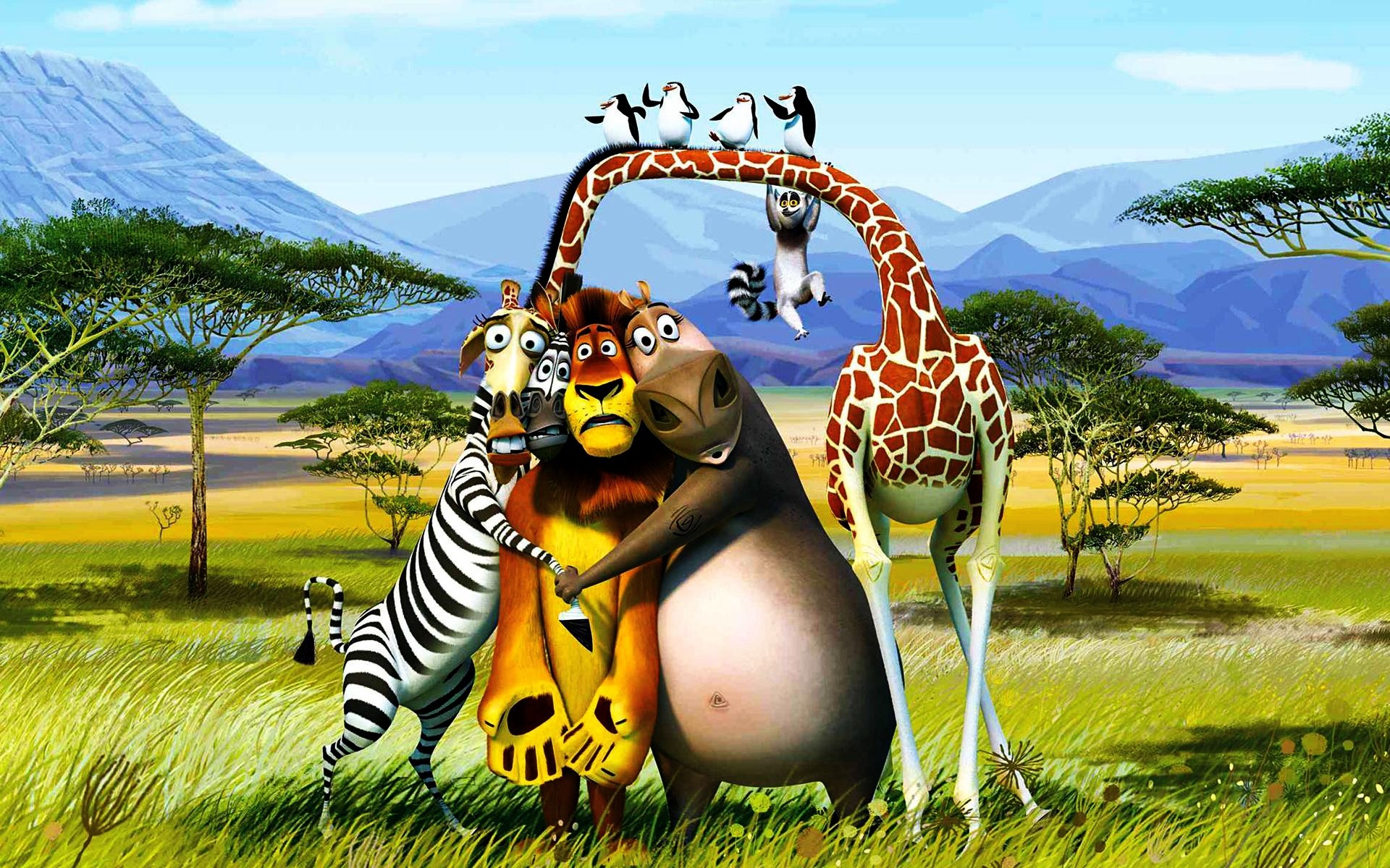 filme natur himmel gras sommer vergnügen pinguine wüste bäume berge afrika kavalsky