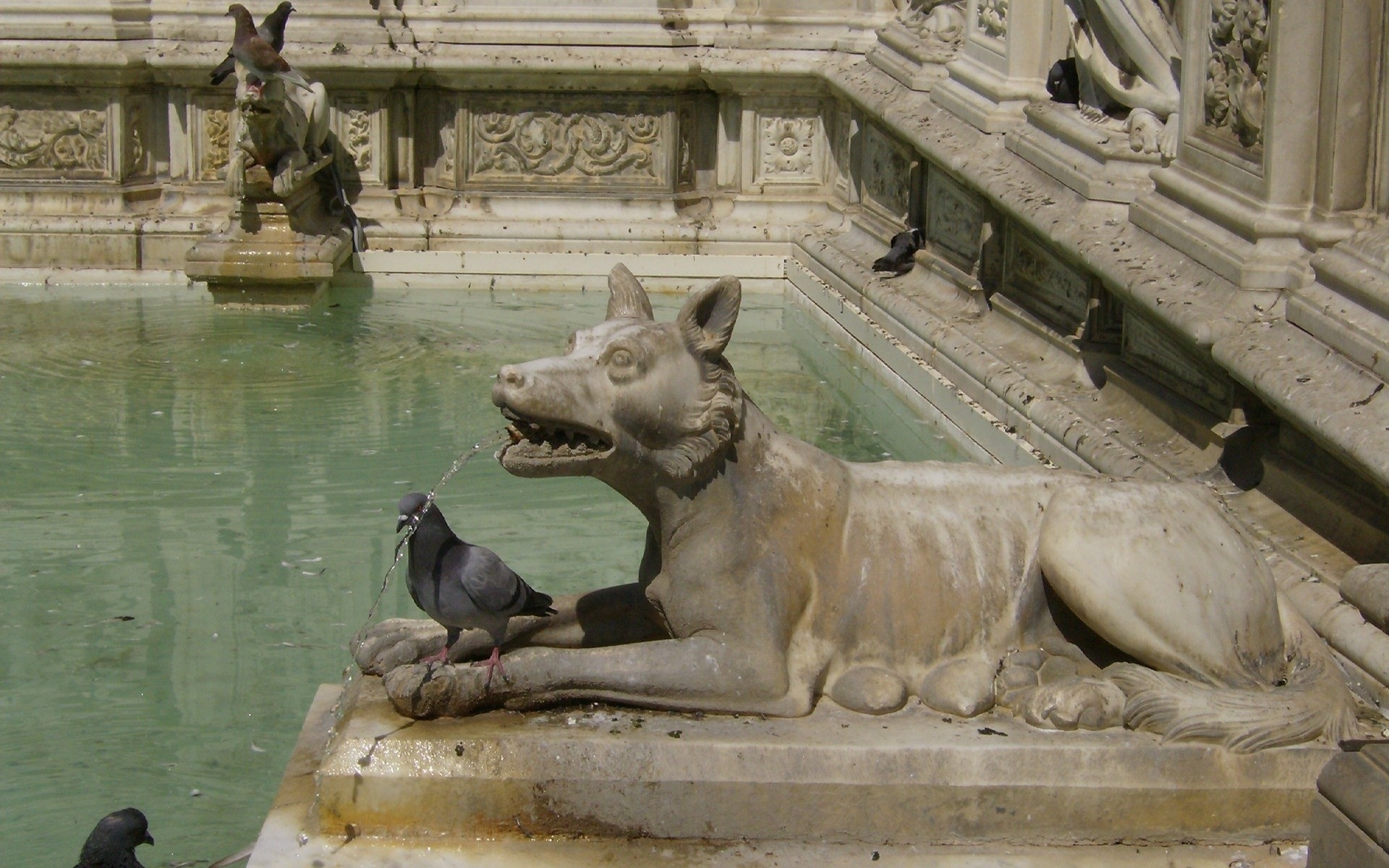 italien skulptur brunnen statue kunst architektur reisen haus tageslicht stadt wasser säugetier museum