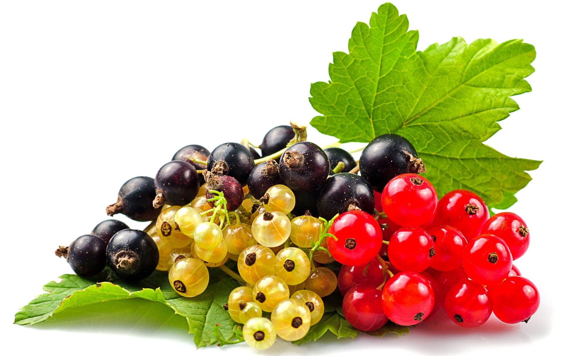 obst beere saftig lebensmittel gesund süßwaren blatt gesundheit ernährung weide johannisbeere diät lecker cluster vitamin lecker süß natur isoliert schwarze johannisbeere weiße johannisbeere rote johannisbeere beeren früchte