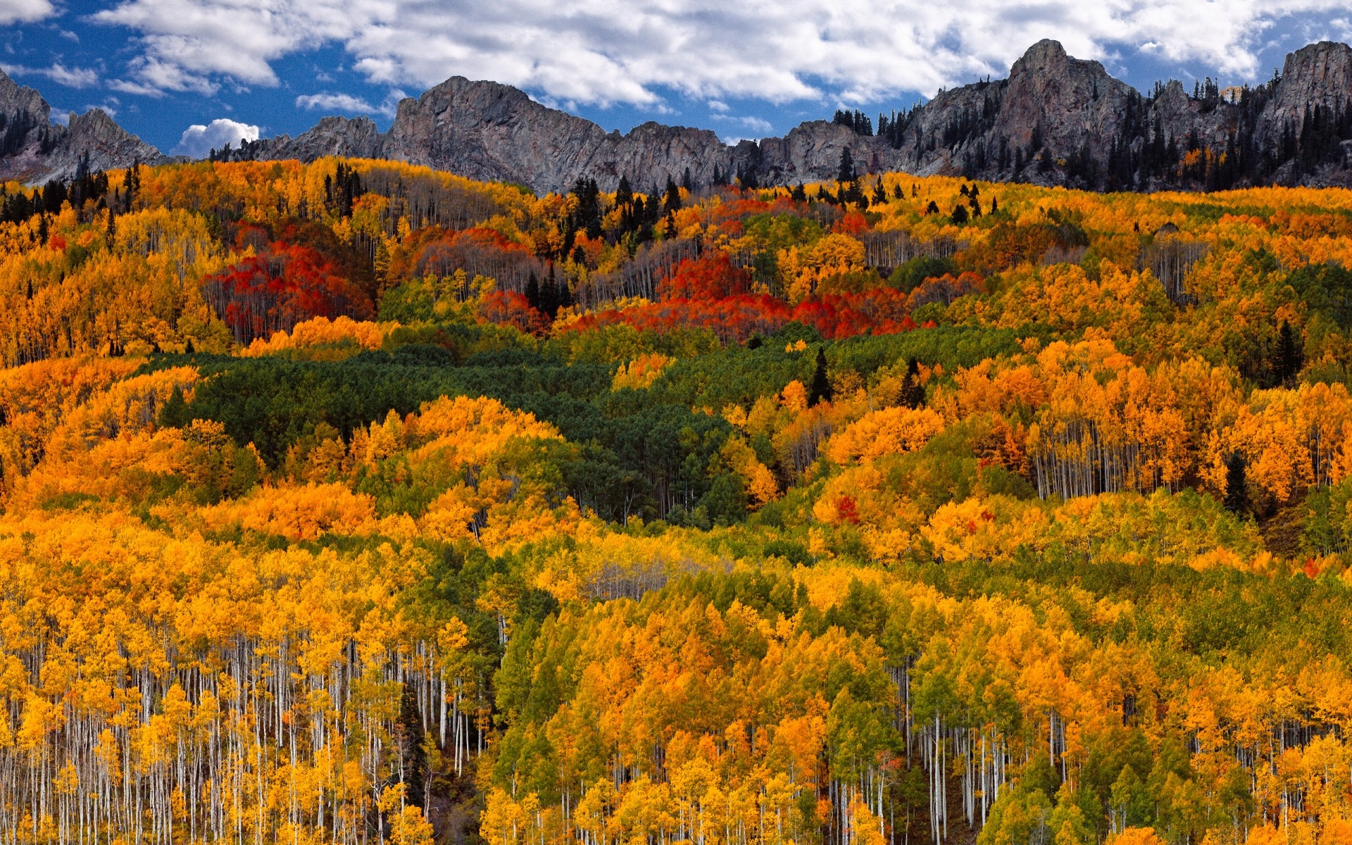 herbst landschaft herbst natur landschaftlich holz berge im freien baum wild blatt landschaft tageslicht hintergrund berge