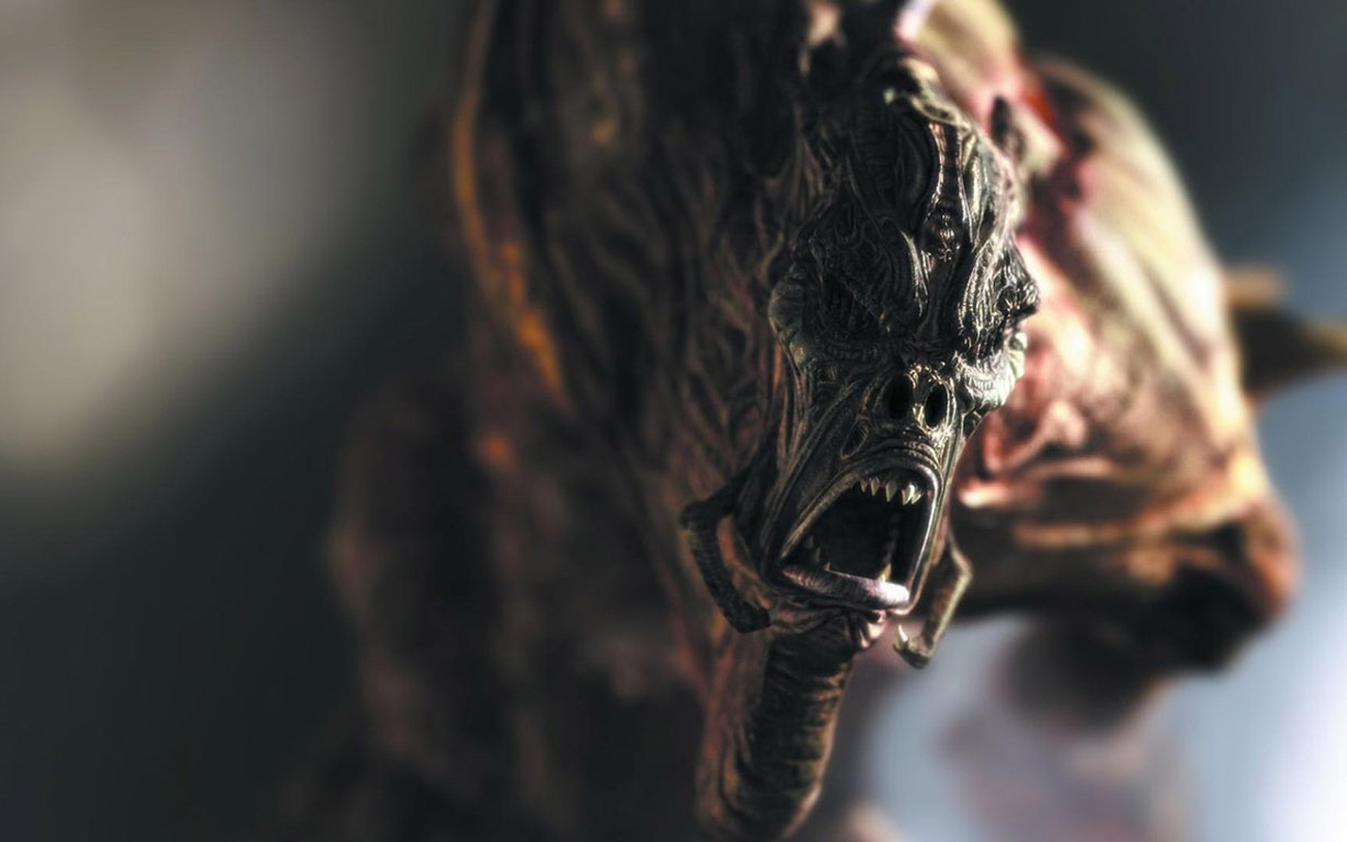 other games natur porträt eins tier gesicht vogel tierwelt unschärfe gefahr horror monster aktion kampf