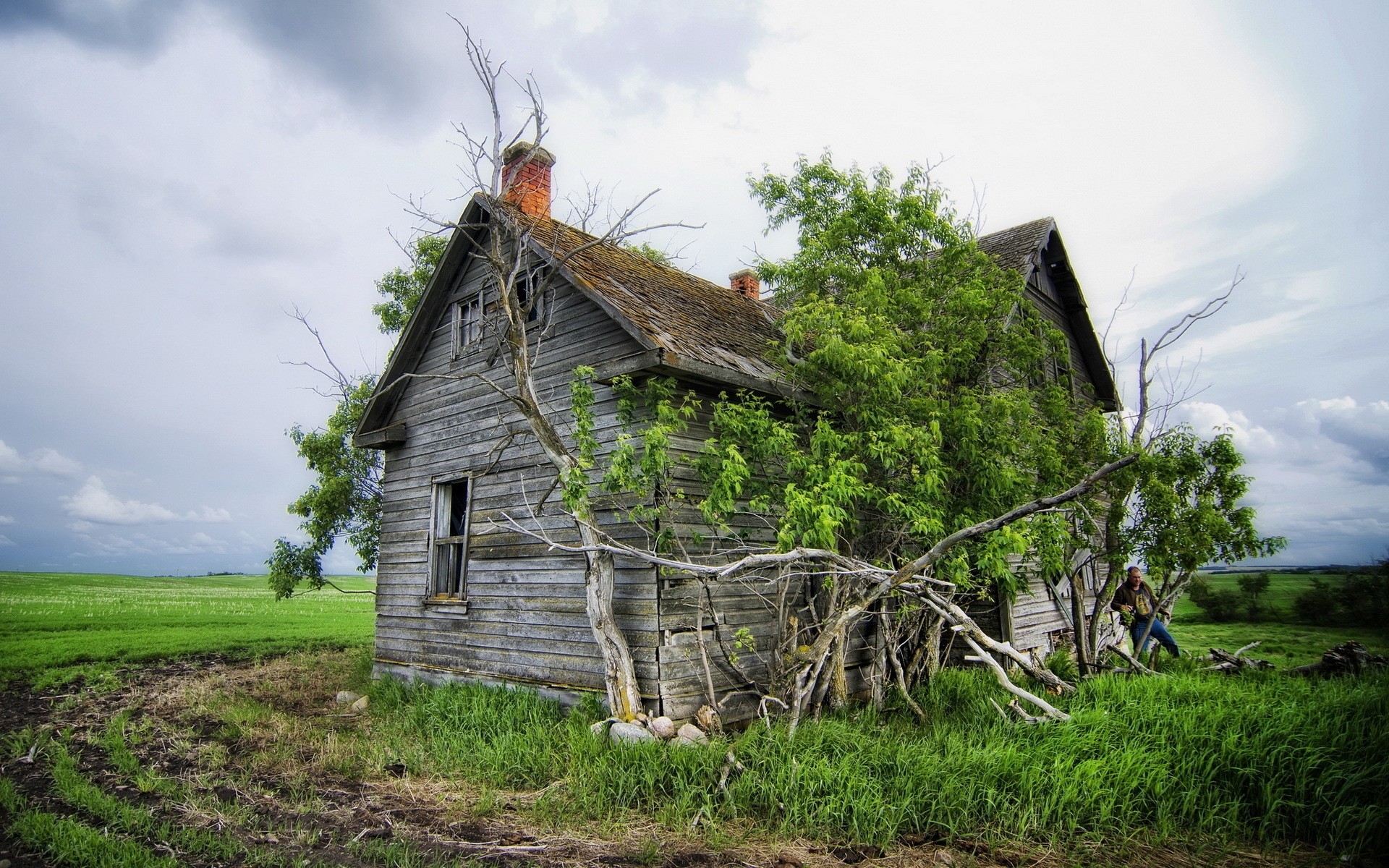 bauernhof des ländlichen landwirtschaft gras haus landschaft holz hütte land natur landschaft scheune himmel sommer rustikal im freien aus holz haus feld grüne pflanze altes haus verlorenes haus