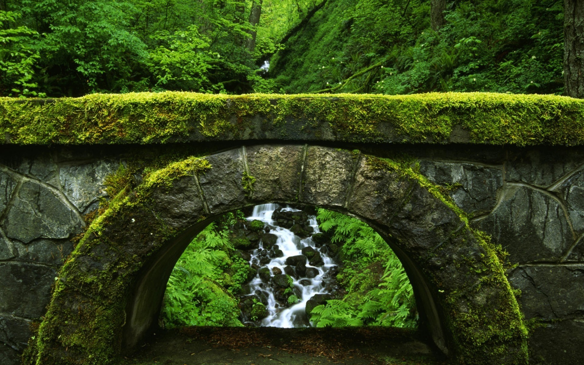 landschaft wasser reisen landschaft moos blatt landschaftlich stein umwelt natur holz fluss im freien baum park tageslicht hintergrund gras brücke