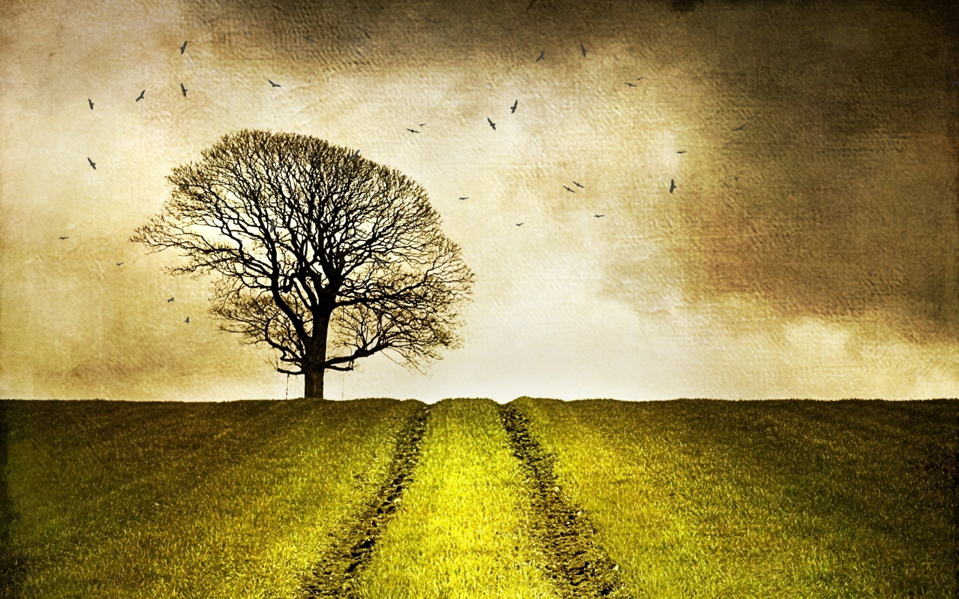 landschaft feld dämmerung baum licht himmel sepia natur sonnenuntergang vintage boden sonne textur wolke desktop farbe retro herbst land erde kunst foto