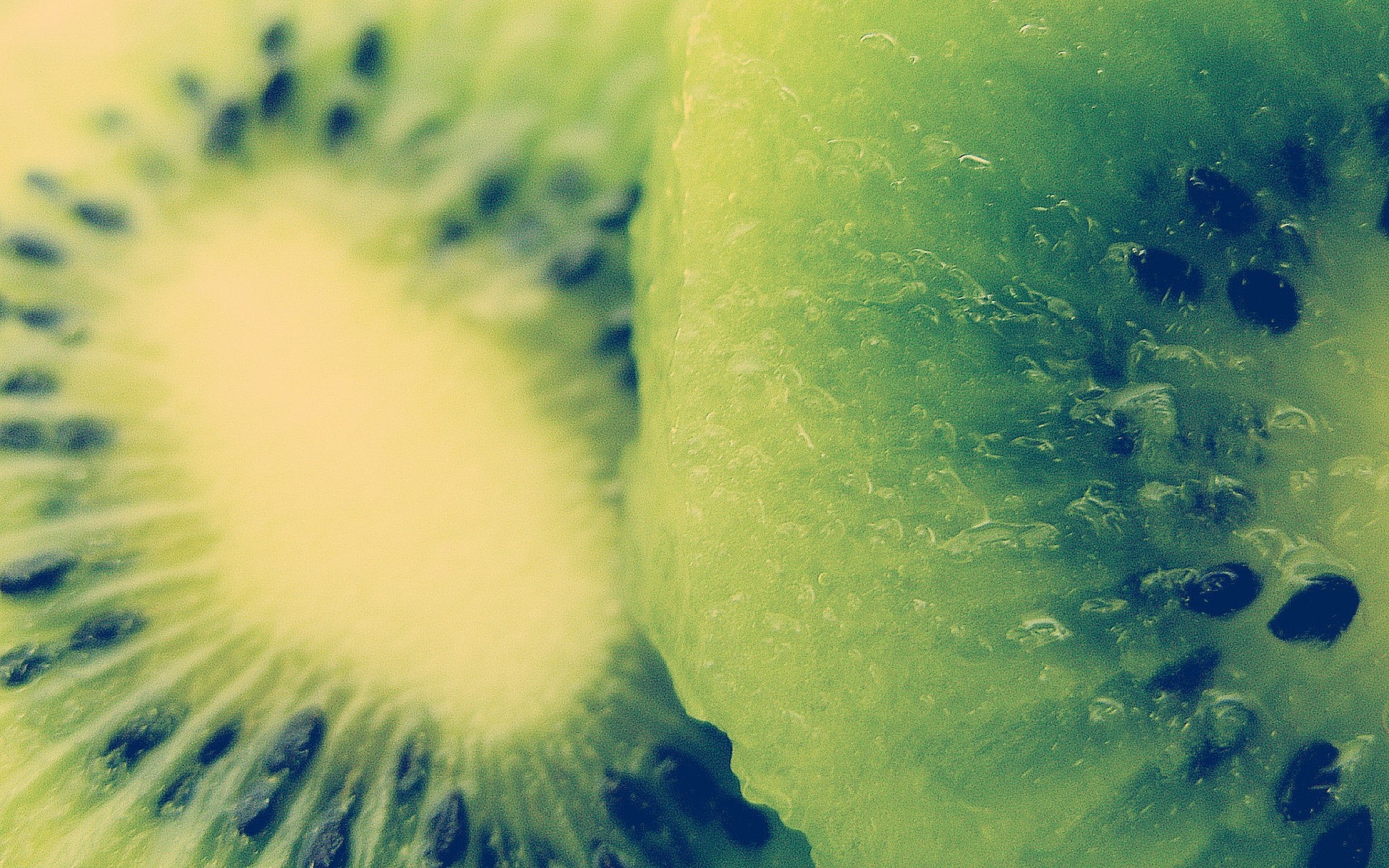 natur farbe desktop abstrakt unterwasser essen sommer kiwi makro obst