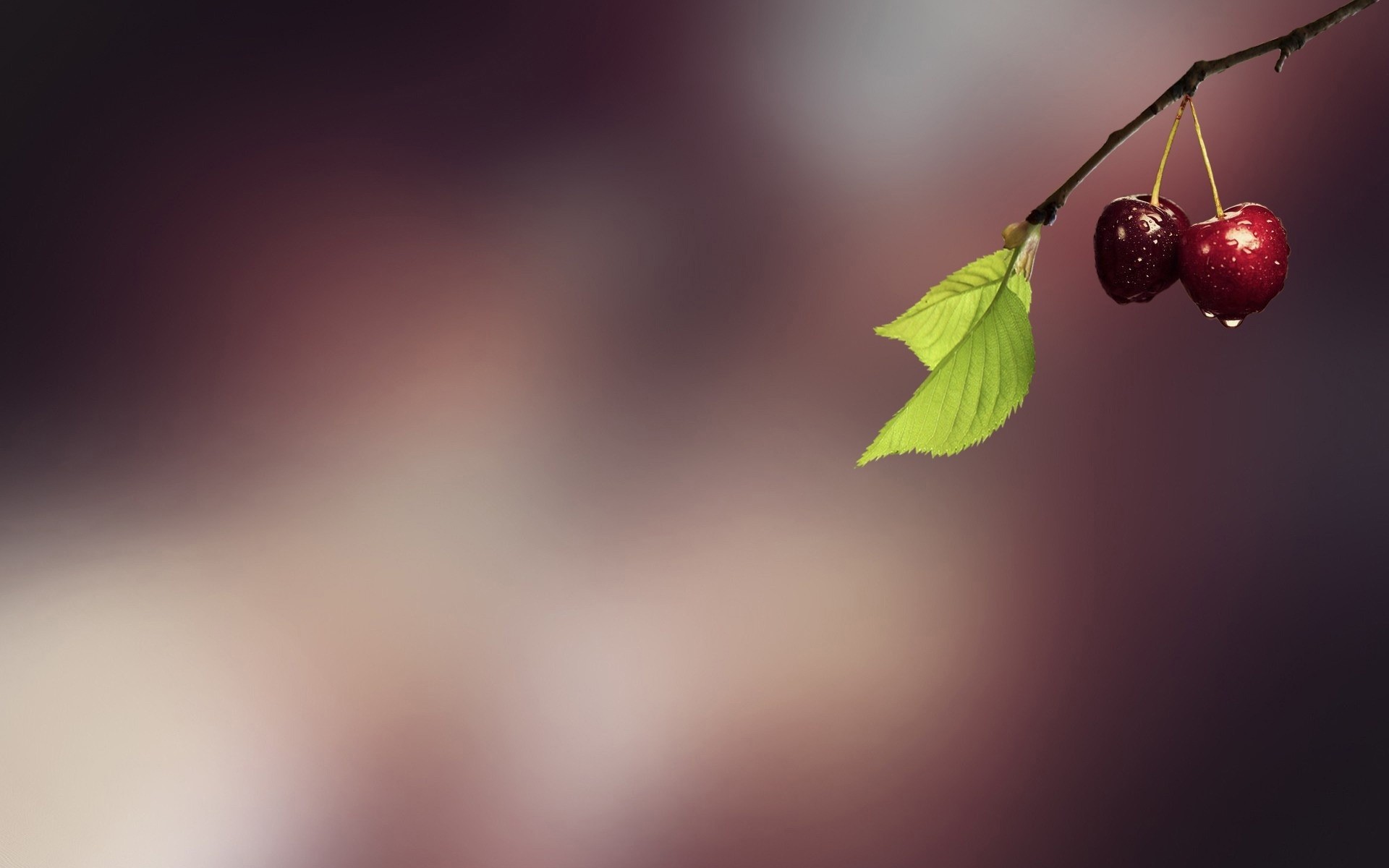 unschärfe natur blatt abstrakt kunst kirschen obst