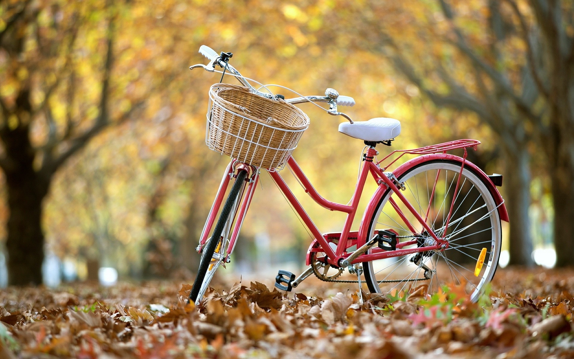 natur herbst im freien holz räder holz sommer fahrrad park gras saison wald klassisches fahrrad