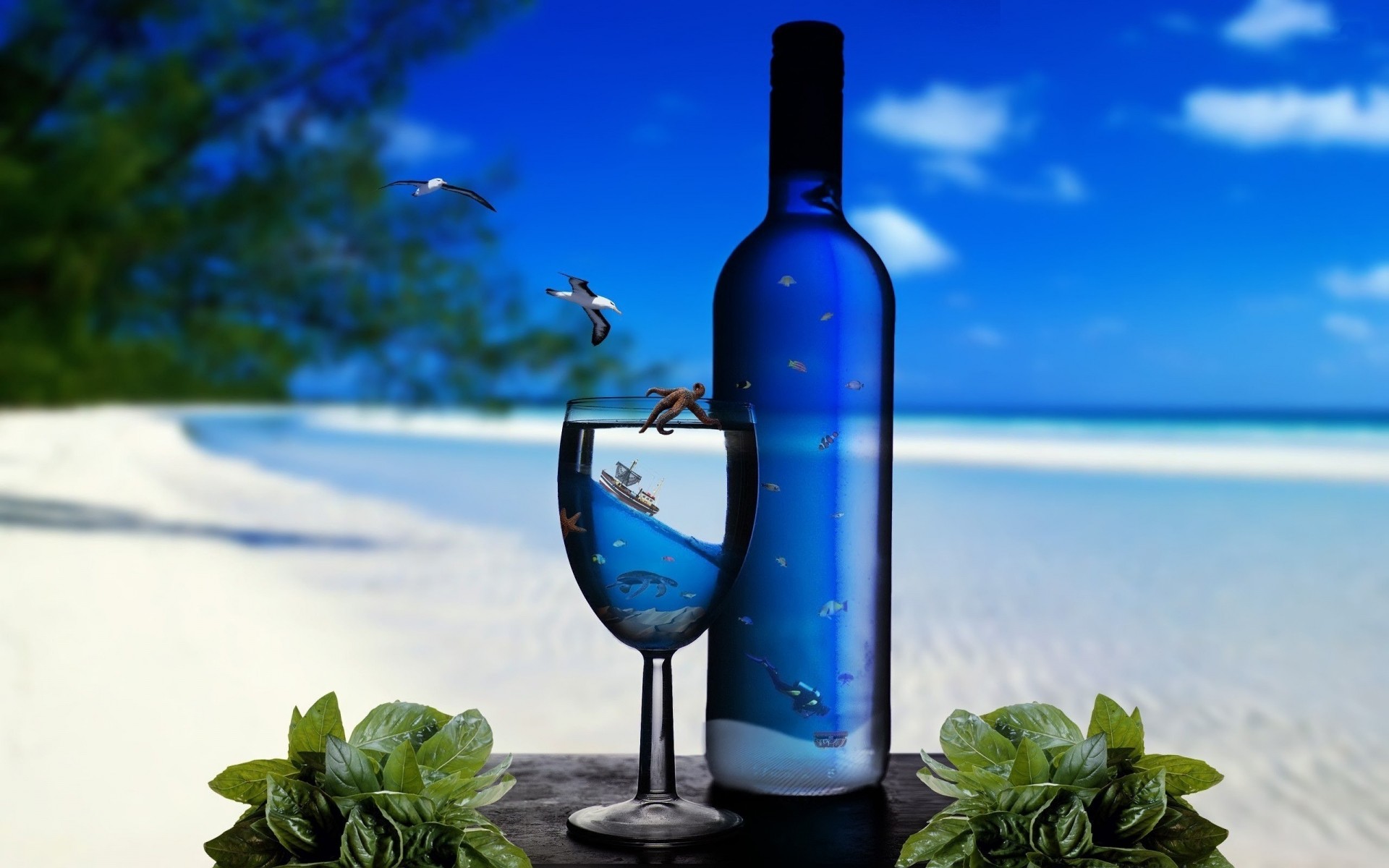 wein glas trinken sommer natur flasche ozean