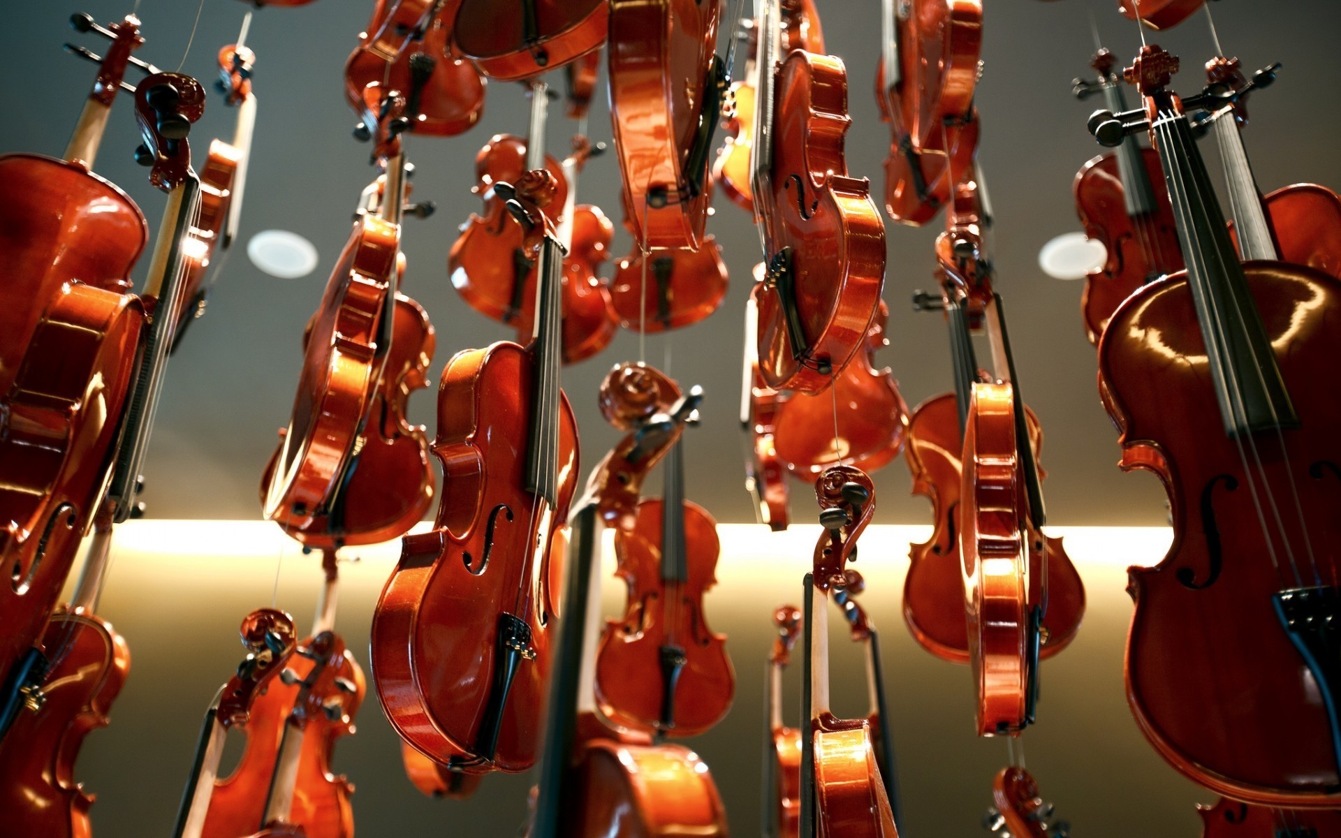 geige musik klassisch klassische musik instrument cello konzert holz bogensaiteninstrument musiker viola geiger leistung drinnen klang orchester innenarchitektur kunst künstlerisch violinen instrumente musikinstrumente