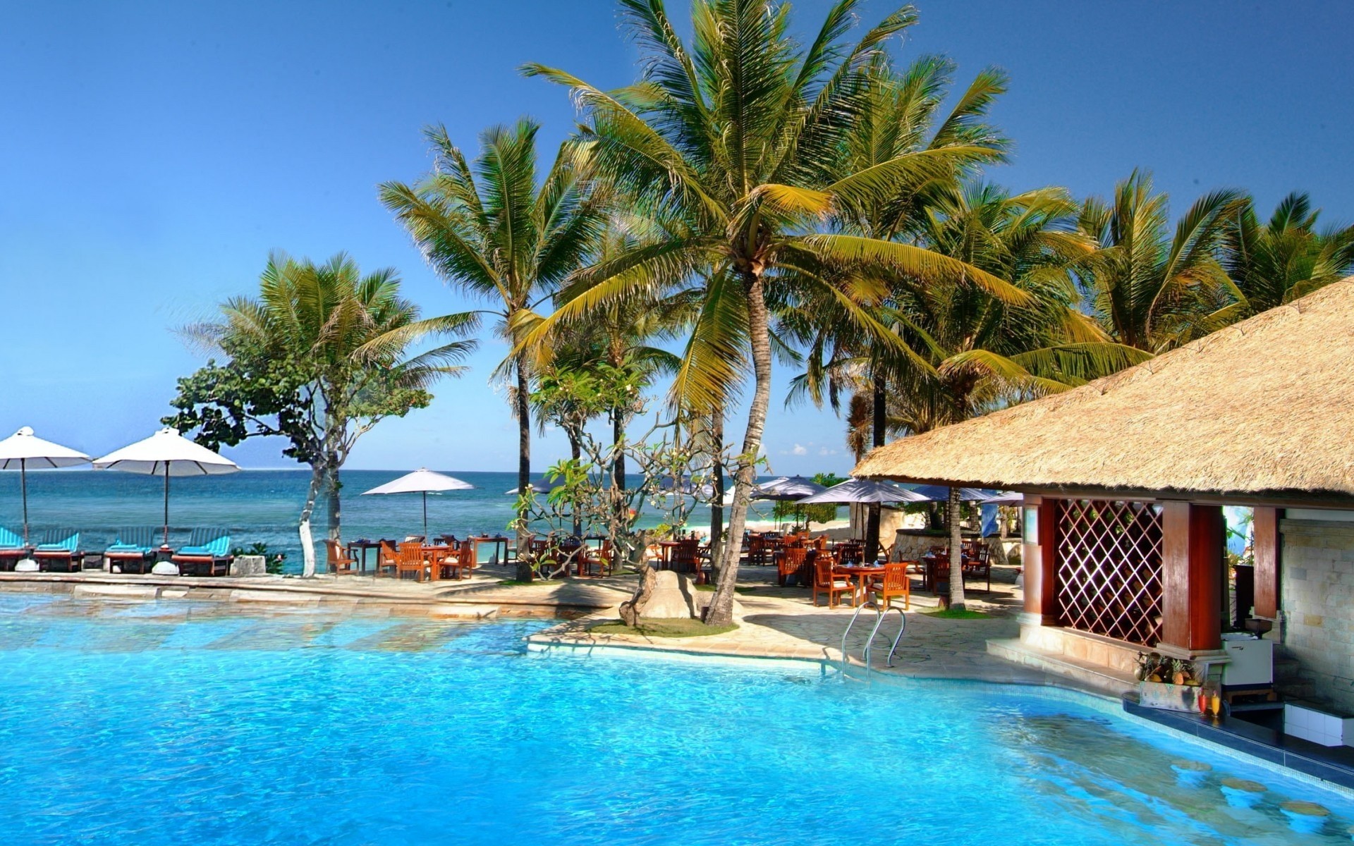 resort hotel tropisch schwimmen schwimmbad luxus schwimmbad urlaub exotisch palmen reisen stuhl entspannung idylle strand villa pool türkis urlaub wasser palmen meer sonnenschirme bali