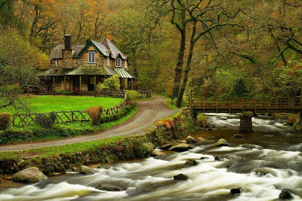 Ein wunderbares Haus im Wald, am Fluss