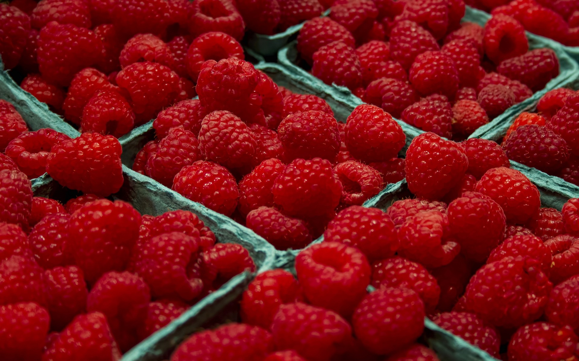 obst beere lebensmittel himbeere süß saftig gesund lecker erdbeere diät lecker frische süßwaren essen gesundheit wachsen schließen beeren obst