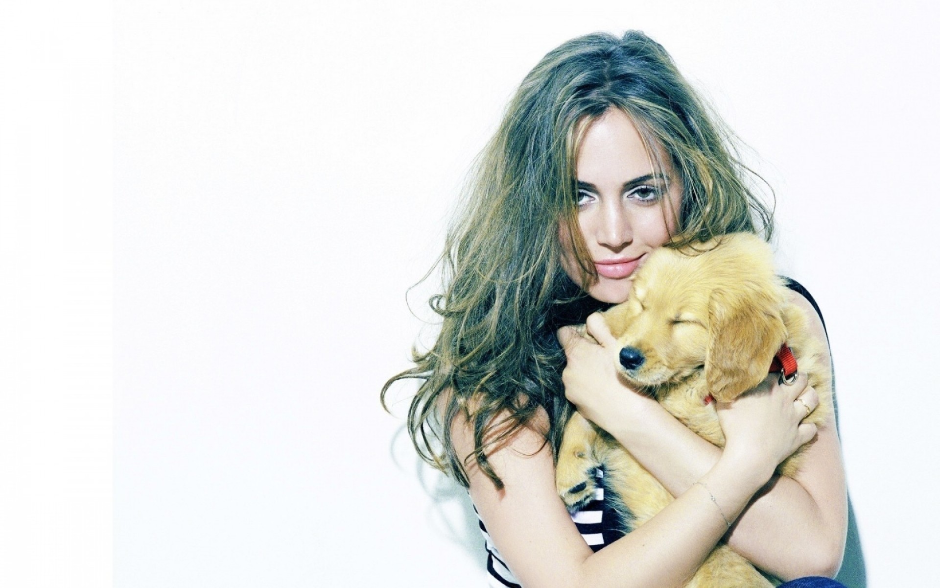 mädchen schön jung weiblich porträt niedlich studio mode desktop modell hübsch haar sexy attraktiv isoliert glamour lockig welpe schauspielerin