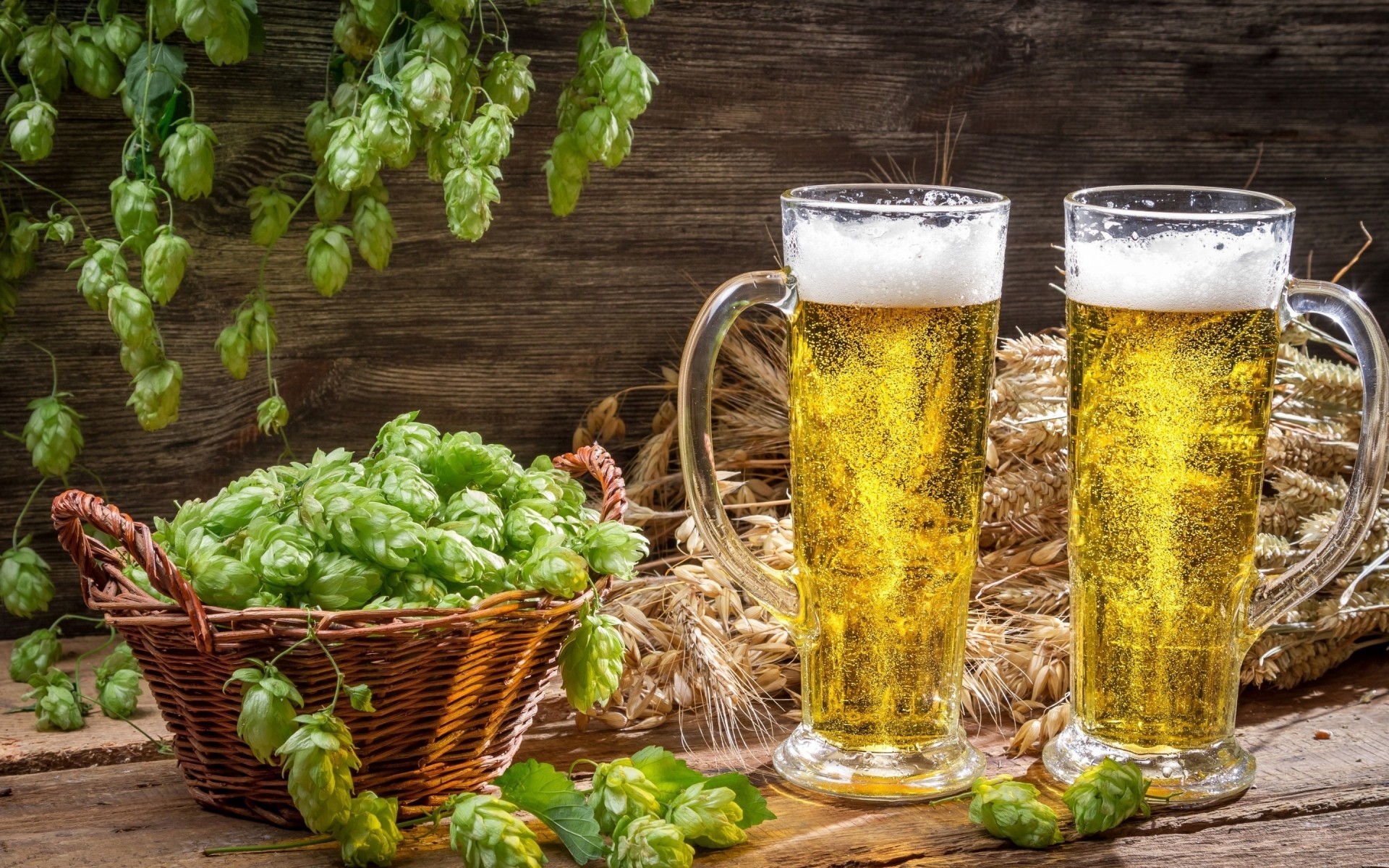 bier brauerei glas lager alkohol trinken schaum pub einen halben liter mondschein hop erfrischung ale becher bitter bar kalt voll frostig party korb