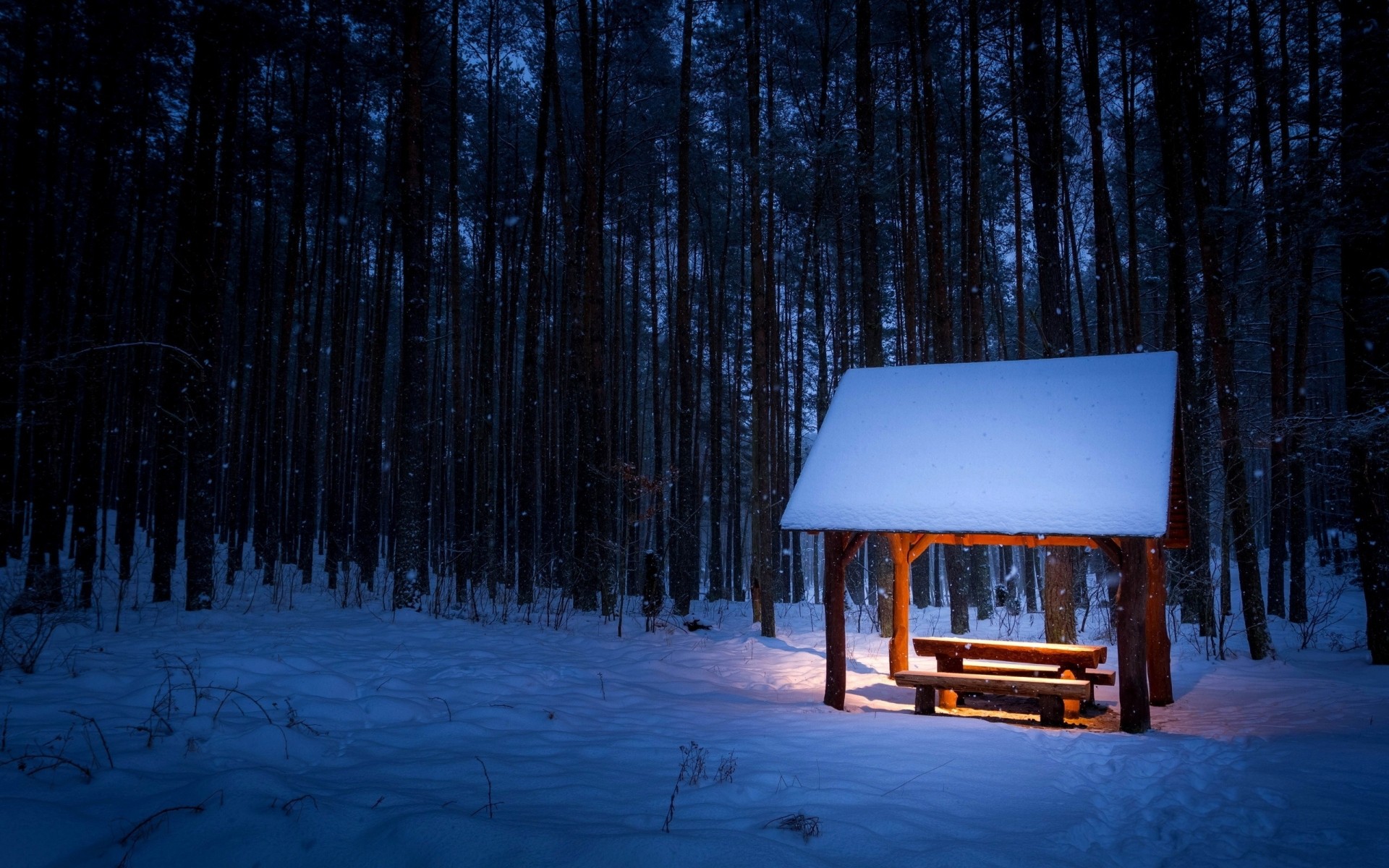 schnee winter holz kälte licht baum landschaft im freien eis natur abend gefroren dämmerung bank