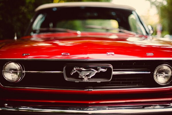 Ein roter Ford. Verchromte Fahrzeugteile
