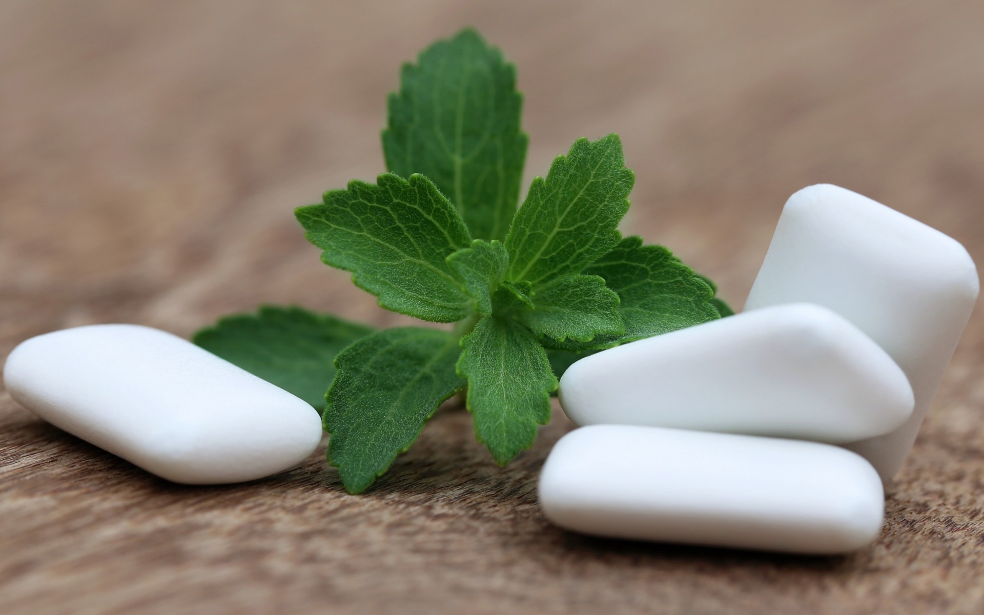 medizin behandlung behandlung gesundheit blatt pillen kräuter therapie natur minze alternative gesundheit kräuter pflege zutaten menthol kaugummi kaugummi