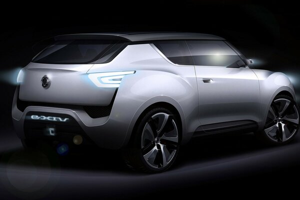 Ssangyong elektronische XIV Rückkonzept