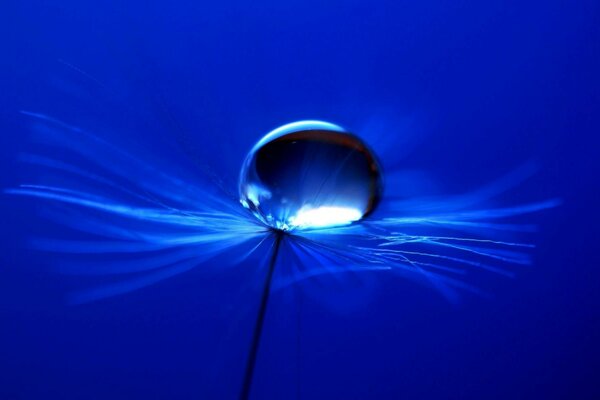 Verschwommene Abstraktion von Licht und Wasser