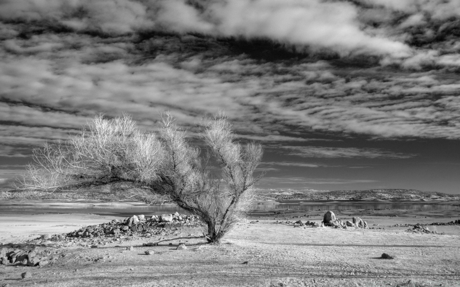 schwarz und weiß landschaft wasser monochrom winter natur sturm