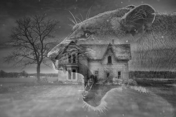 Schwarz-Weiß-Foto zeigt Winter Luchs auf Haus und Baum Hintergrund