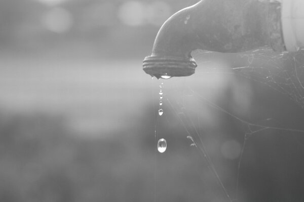 Klares Wasser fällt aus dem Wasserhahn