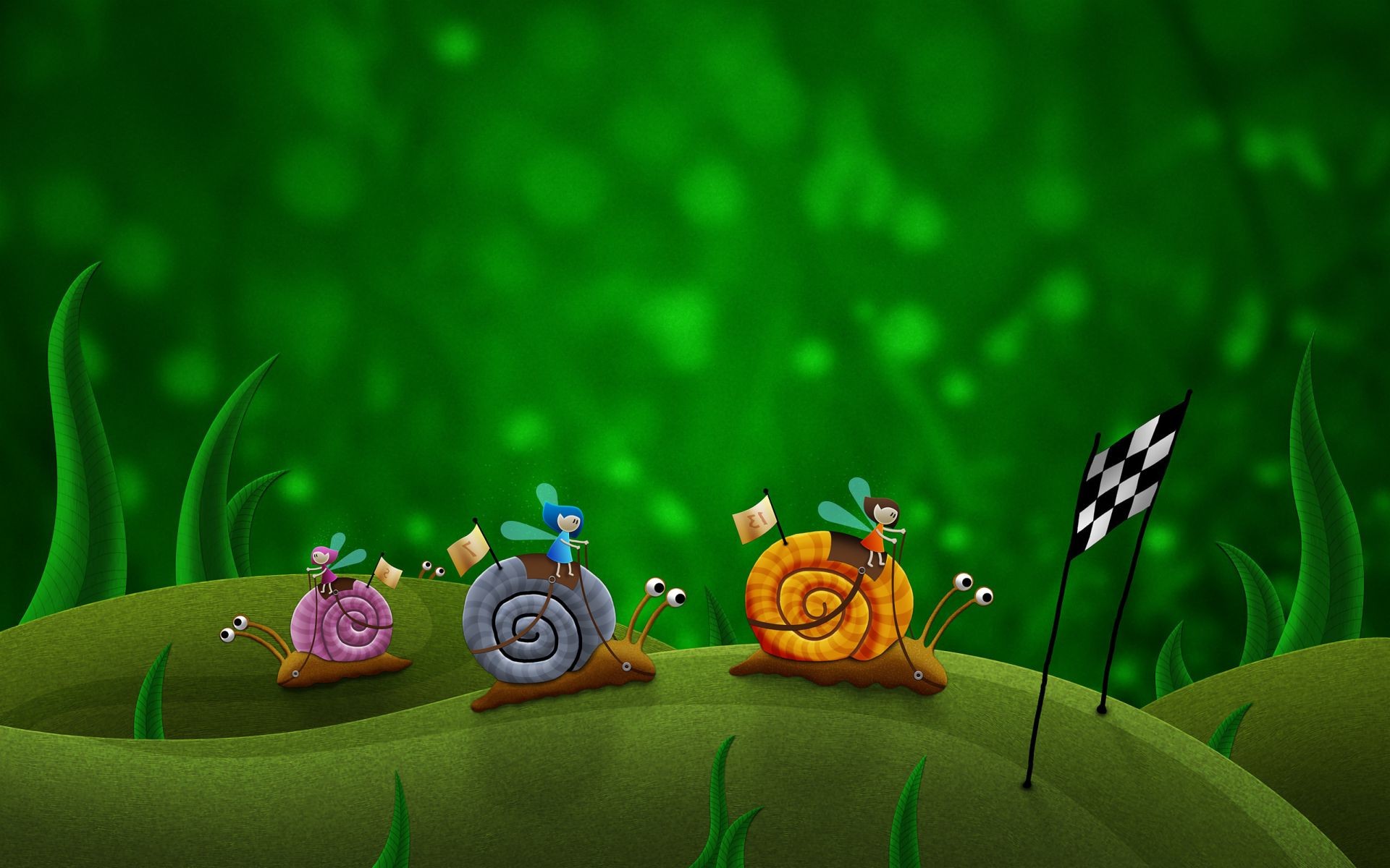 desktop farbe blume natur gras blatt