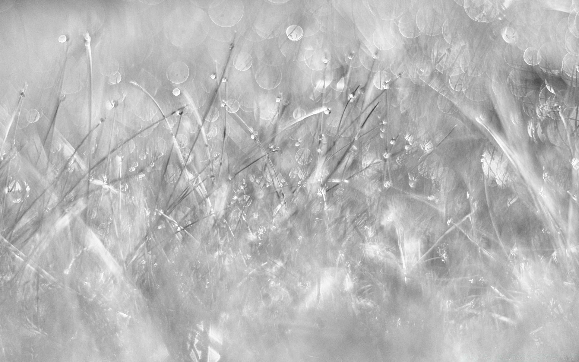 schwarz und weiß abstrakt desktop natur licht textur scheint schnee design muster hell tapete winter farbe kunst hintergrund