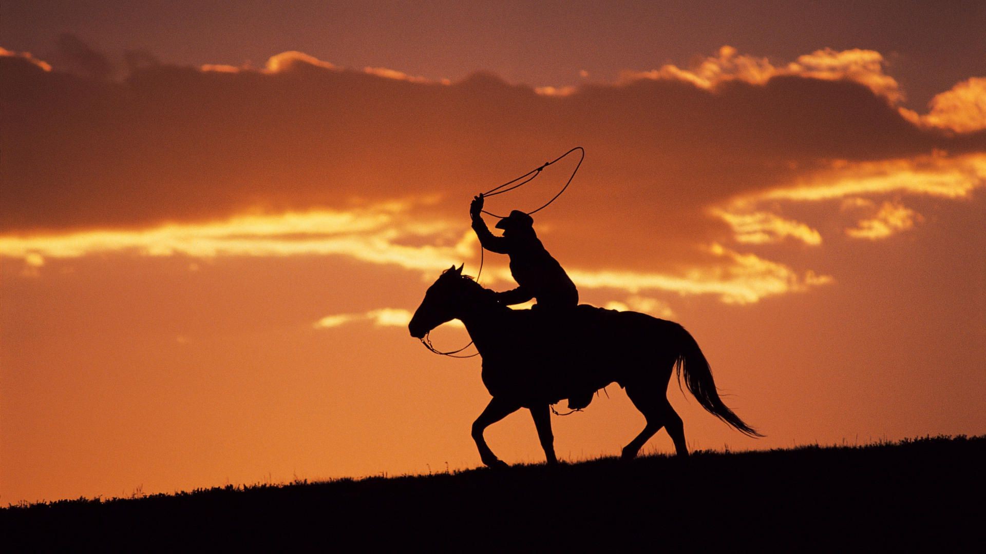 männer kavallerie sonnenuntergang silhouette hintergrundbeleuchtung säugetier sitzen pferd abend reiter dämmerung