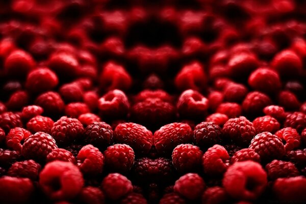 Süße leckere Himbeeren