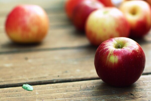 Streuen Sie rote Herbstäpfel auf den Tisch