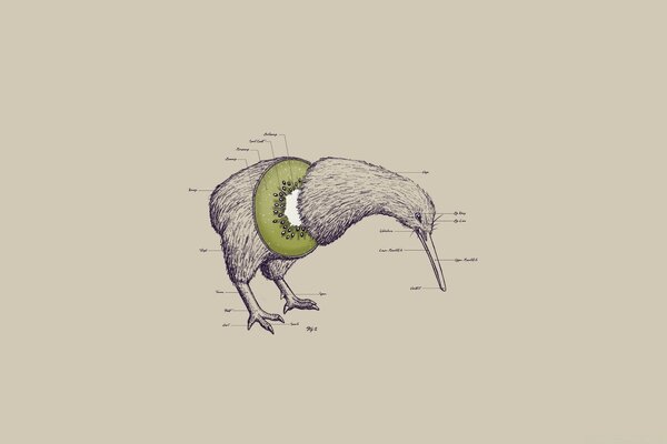 Karikatur über die Konsistenz von Obst und Geflügel