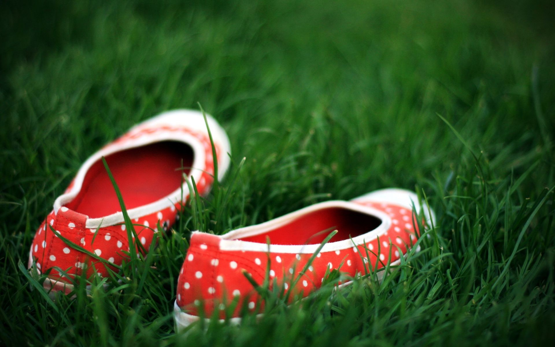 gras sommer feld leder farbe rasen freizeit schuh im freien zwei heuhaufen paar natur schließen