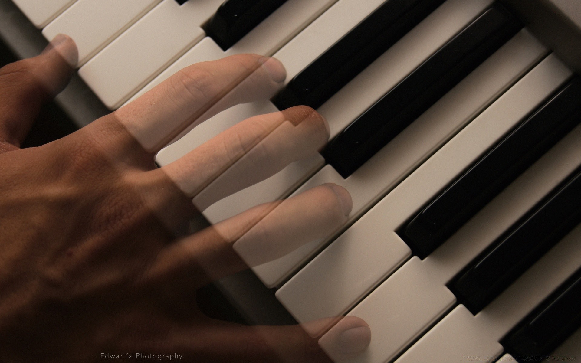 musik klavier ebenholz instrument katze synthesizer schlüssel ton pianist akkord jazz harmonie tastatur lied rhythmus musiker akustische klassische musik konzert musikkomposition